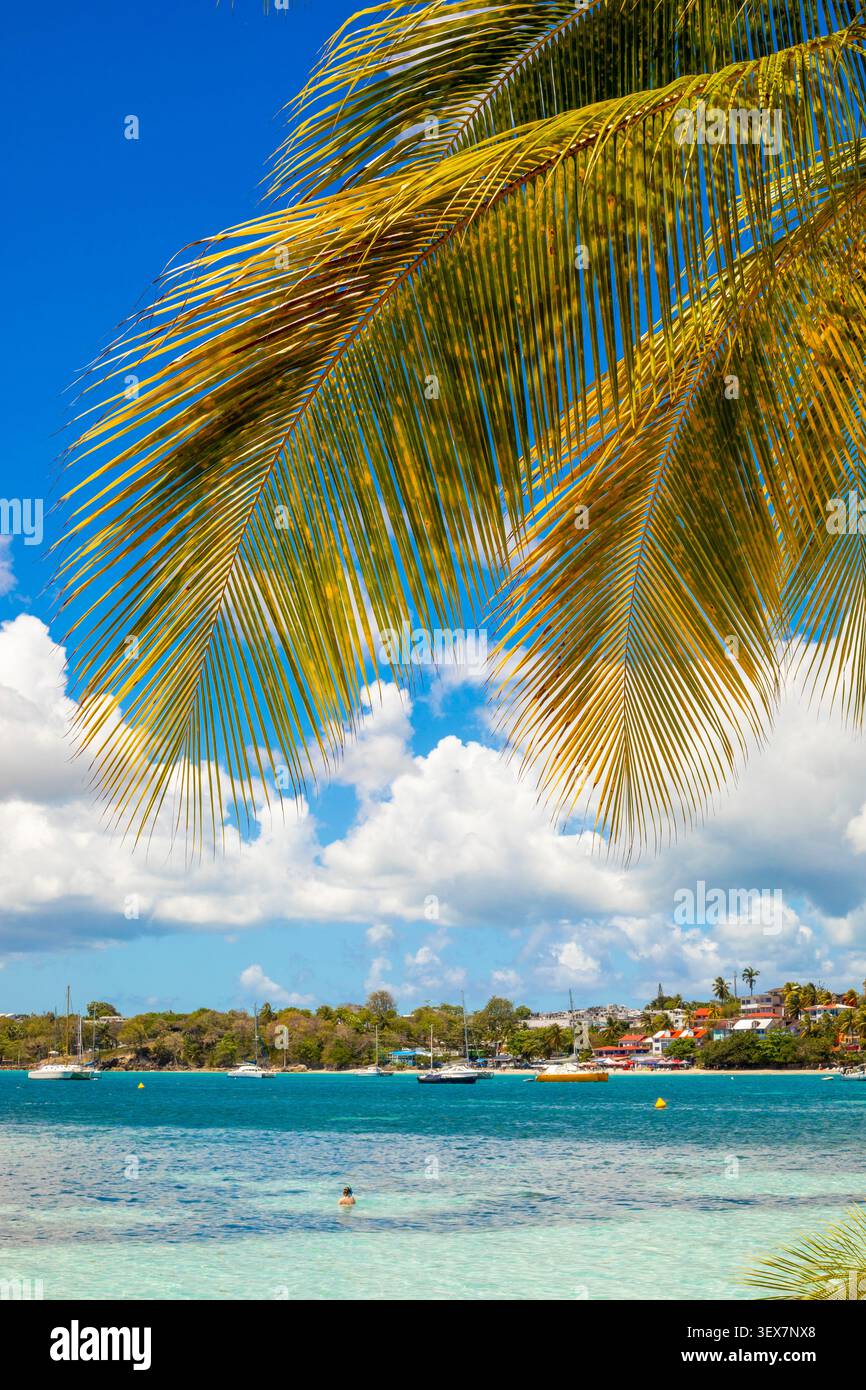 France, Guadeloupe, Grande-Terre, le Gosier, vue depuis l'îlot du Gosier surplombant le Gosier Banque D'Images