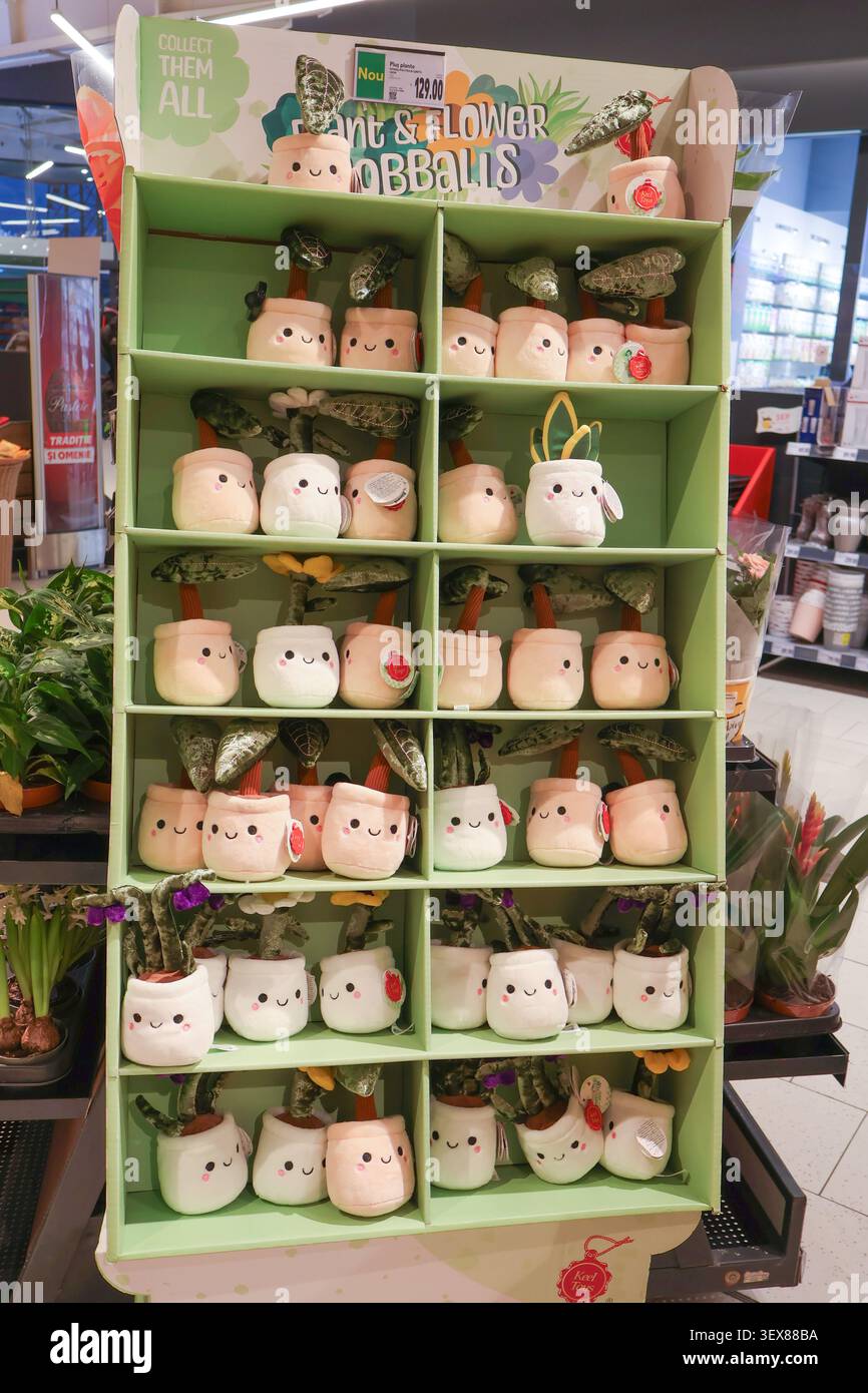 Présentoir avec peluches de boules de plantes et de fleurs à vendre dans un magasin de détail - Chisinau, Moldavie - mars 30 2026 Banque D'Images
