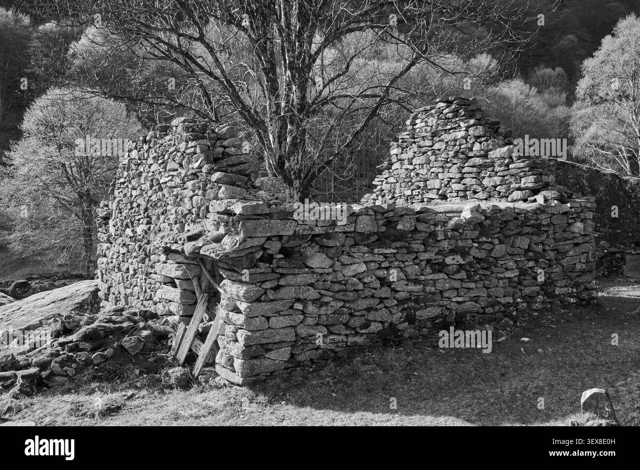 L'ancien pont de pierre et patrimoine alpin d'Un Puntide dans le Val Calnègia, Tessin, Suisse Banque D'Images