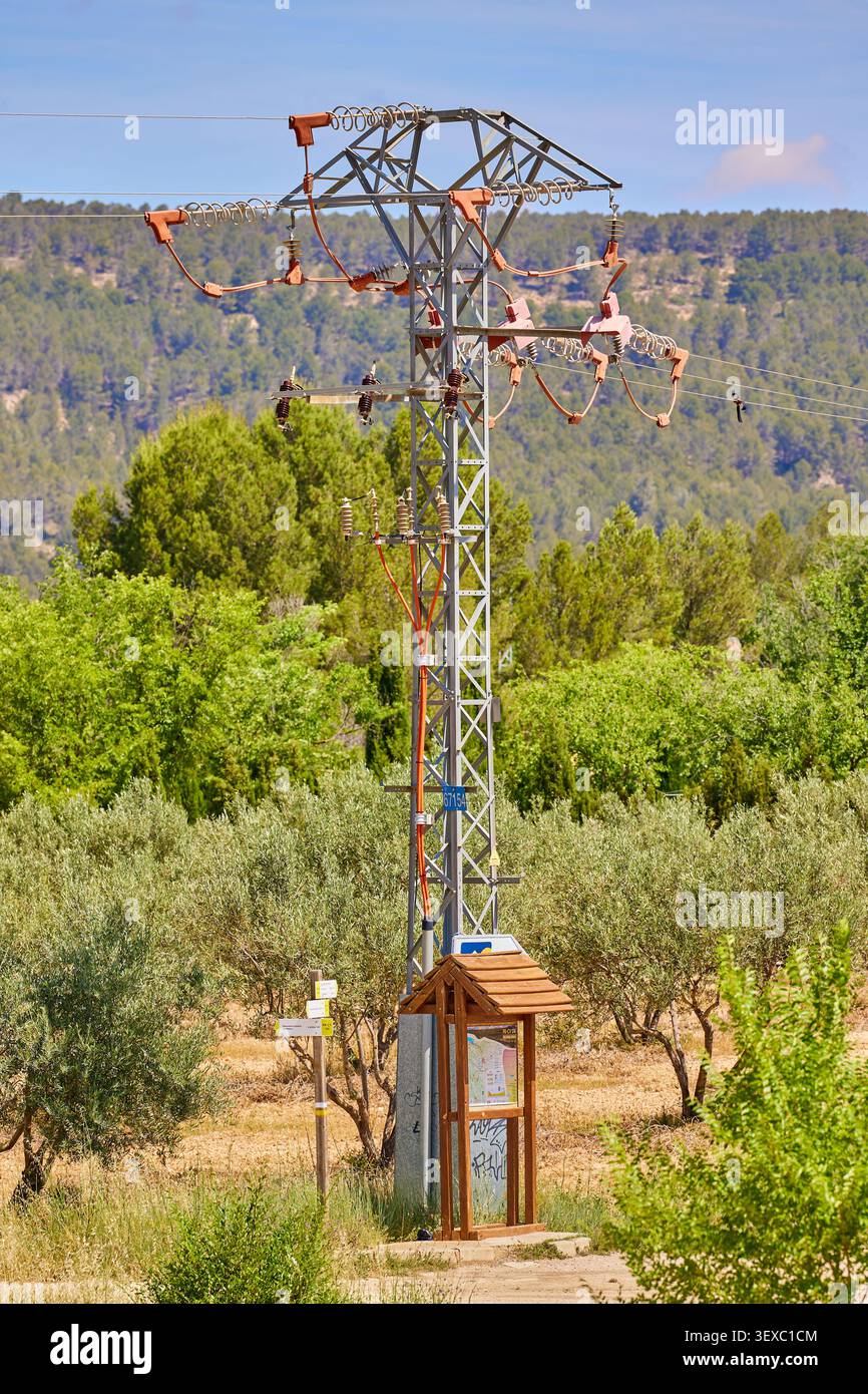 Ligne de transmission haute tension sur fond d'arbre vert. Contreras, Espagne - 16 juin 2024. Banque D'Images