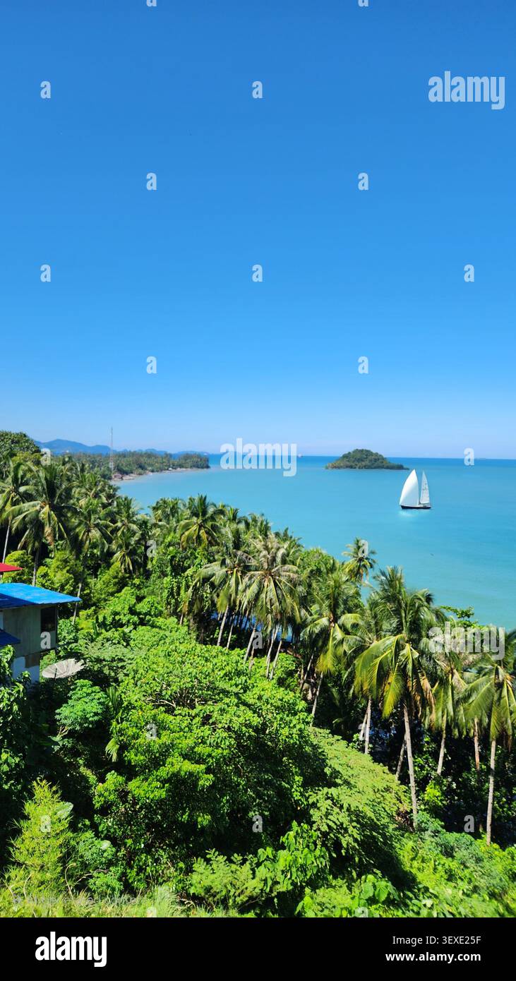 Paradis tropical avec Crystal Blue Sea, cocotiers luxuriants et une petite île sous Clear Blue Sky - Image de stock capturée avec un smartphone