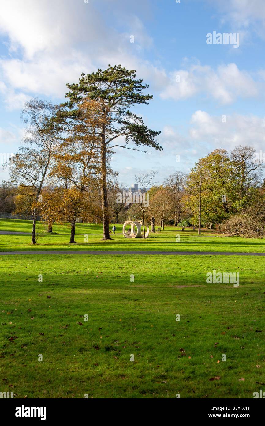 Sculpture moderniste et pin écossais au Golders Hill Park, Londres Banque D'Images
