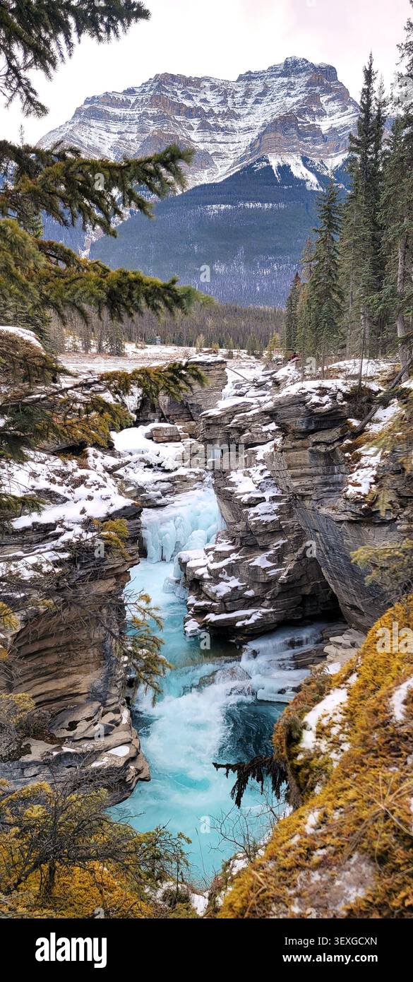 Chutes Athabasca en hiver, parc national Jasper, Alberta, Canada, chute d'eau partiellement gelée avec de l'eau qui coule et une montagne enneigée en toile de fond. Banque D'Images