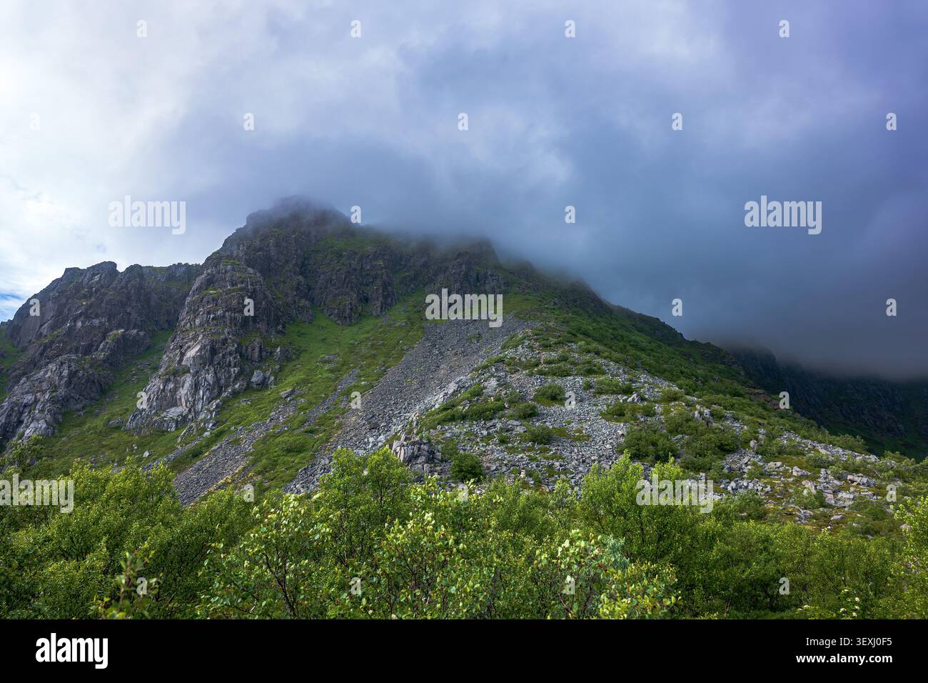 Paysage montagneux spectaculaire dans les Lofoten avec un pic entouré de brouillard, des pentes vertes et des éboulis rocheux. Une végétation luxuriante encadre le majestueux alpin Banque D'Images