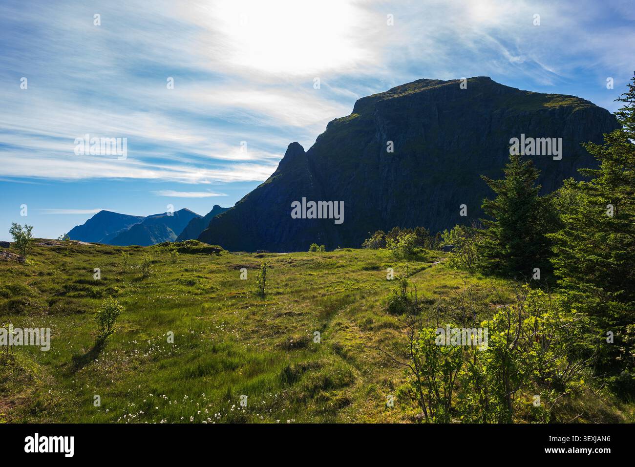 Paysage montagneux spectaculaire dans les Lofoten, Norvège, avec d'imposants sommets sombres au-dessus d'une vallée verdoyante avec une végétation clairsemée et alpine Banque D'Images
