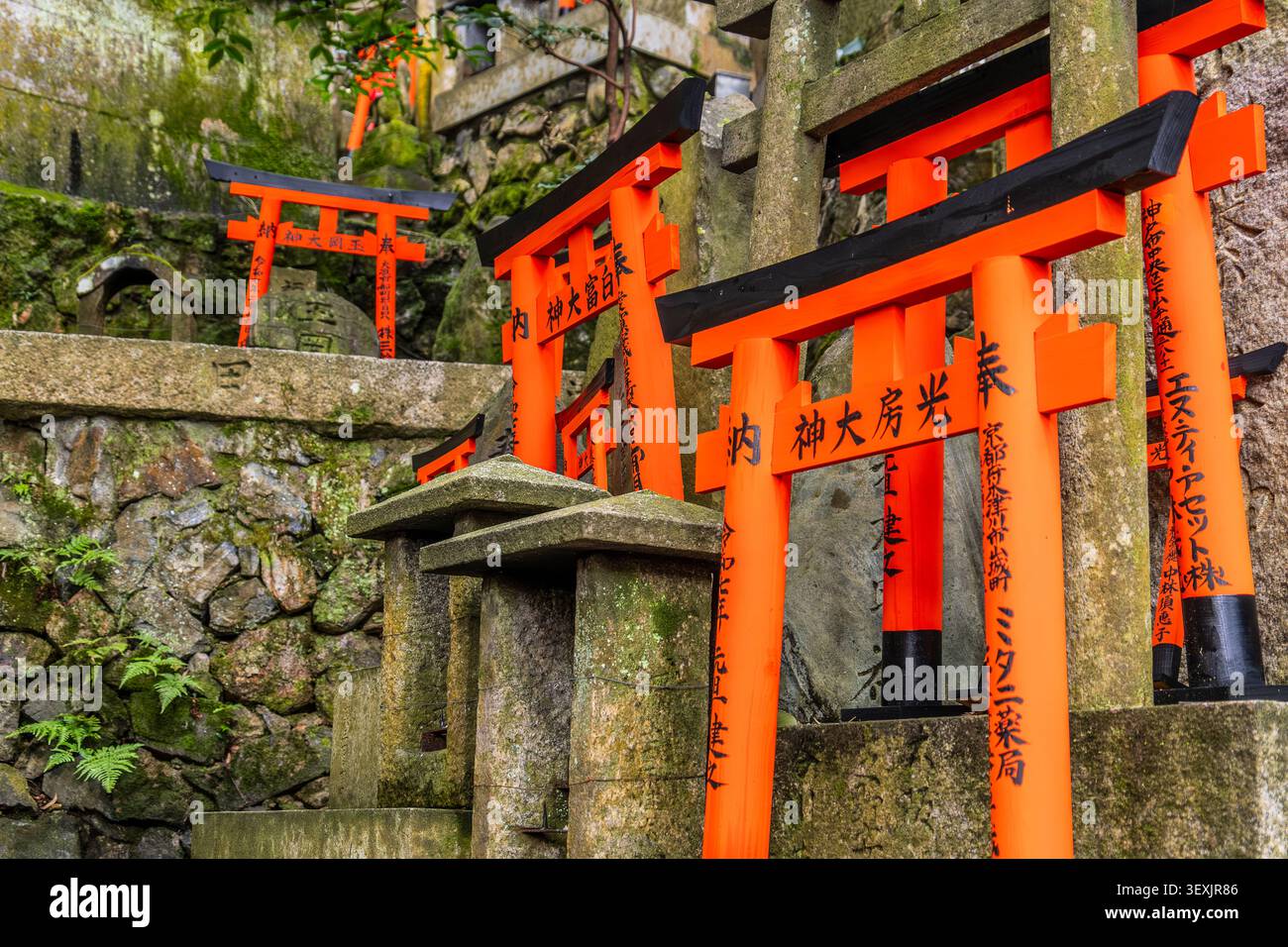 Gros plan des portes vermillon torii et des structures en pierre à Fushimi Inari, Kyoto, Japon. Banque D'Images