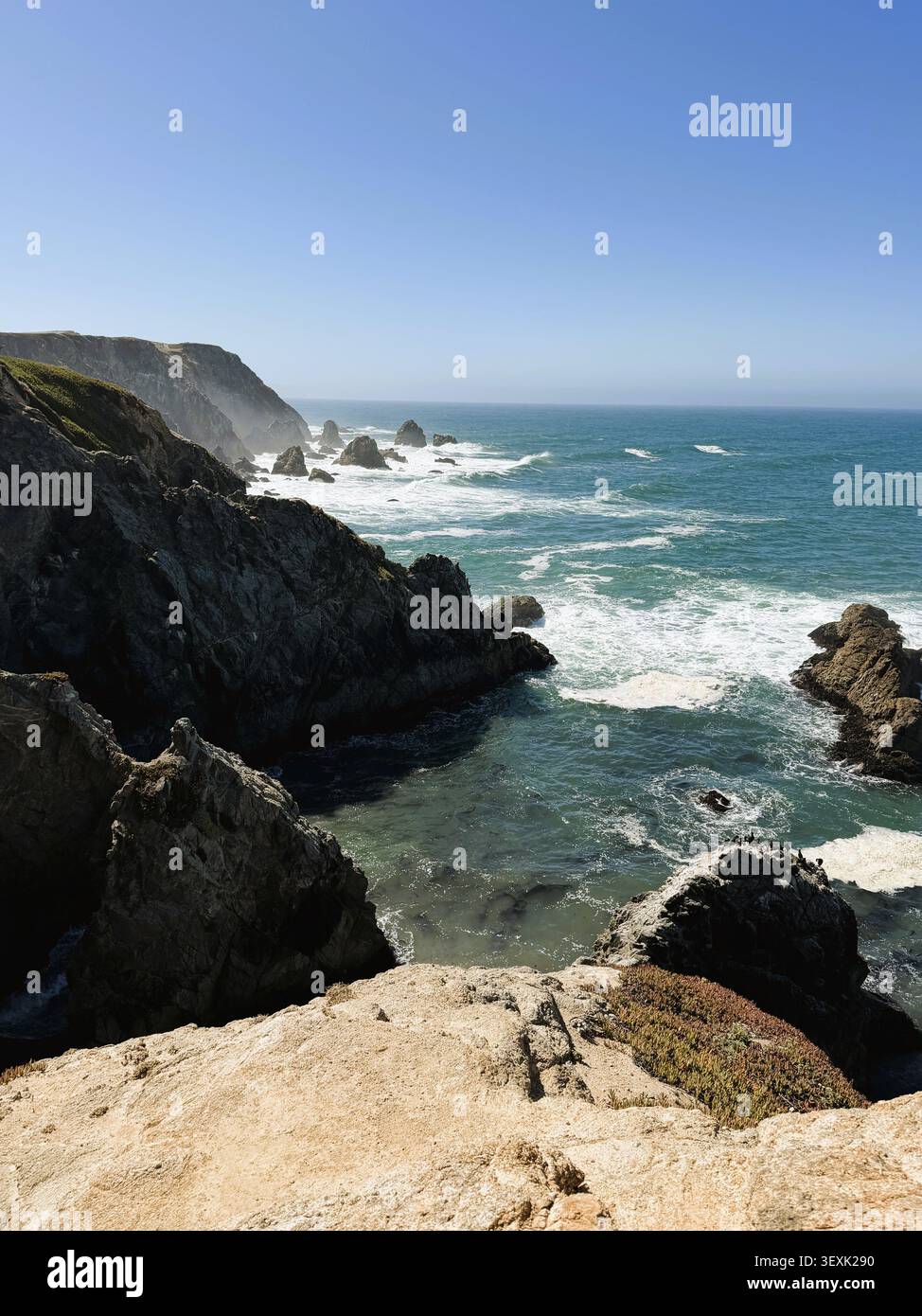 Vue sur l'océan Pacifique, depuis une falaise à Bodega Head, sur la côte californienne, par une journée d'été ensoleillée. - Image de stock capturée avec un smartphone