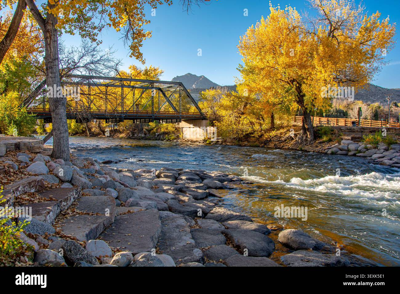 Pont à chevalets historique au-dessus de la rivière Arkansas, maintenant piétonne et piste cyclable jusqu'à l'étang de canards de Pathfinder Park, Canon City, Colorado, États-Unis, cottonwoods d'automne. Banque D'Images