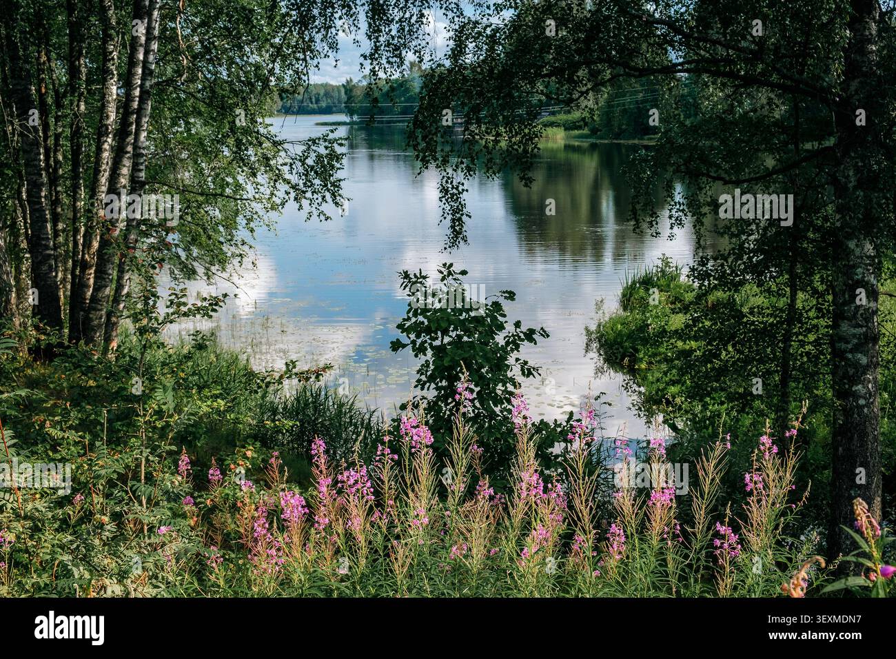 Vue du magnifique paysage de lac forestier dans le parc national de valdai, Russie. Banque D'Images