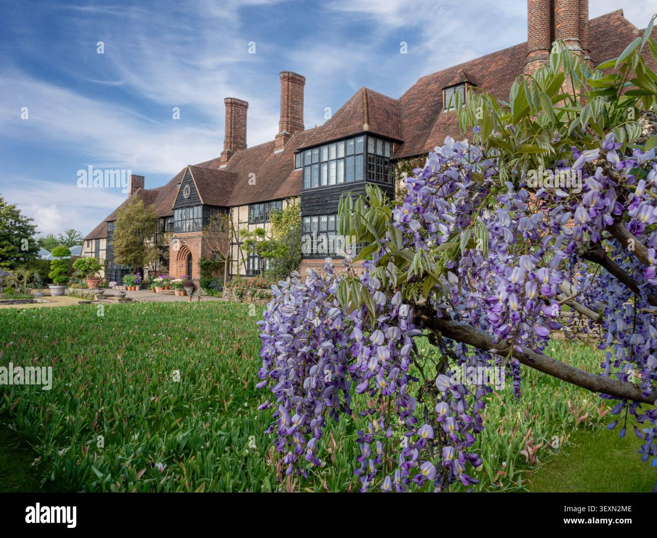 RHS Wisley Historic Laboratory House & Offices de la Royal Horticultural Society jardins Wisley avec wisteria en pleine floraison au premier plan. Surrey Royaume-Uni Banque D'Images