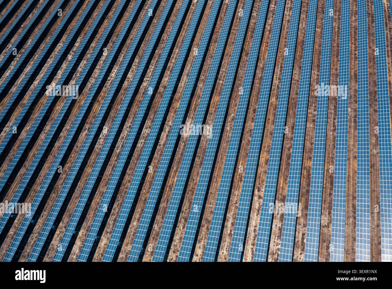 Vue drone d'une grande ferme solaire photovoltaïque avec de longues rangées parallèles de panneaux solaires. Banque D'Images