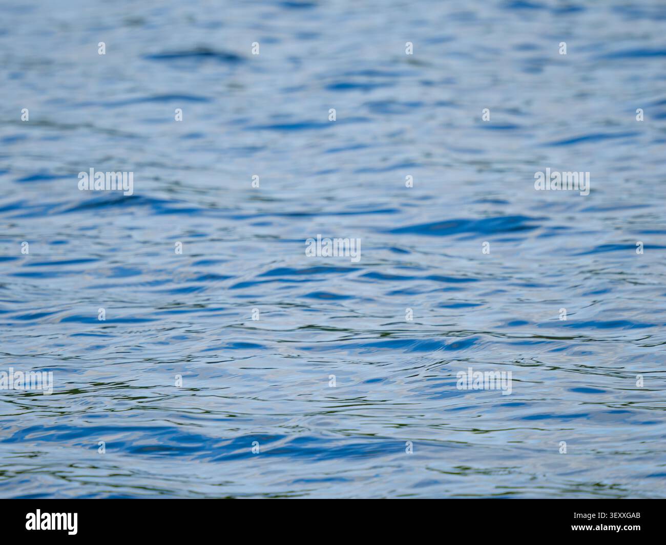 Fond abstrait de la rivière bleue ou de la surface de l'eau du lac avec de belles petites vagues et des ondulations douces. Texture liquide propre naturelle avec espace de copie Banque D'Images