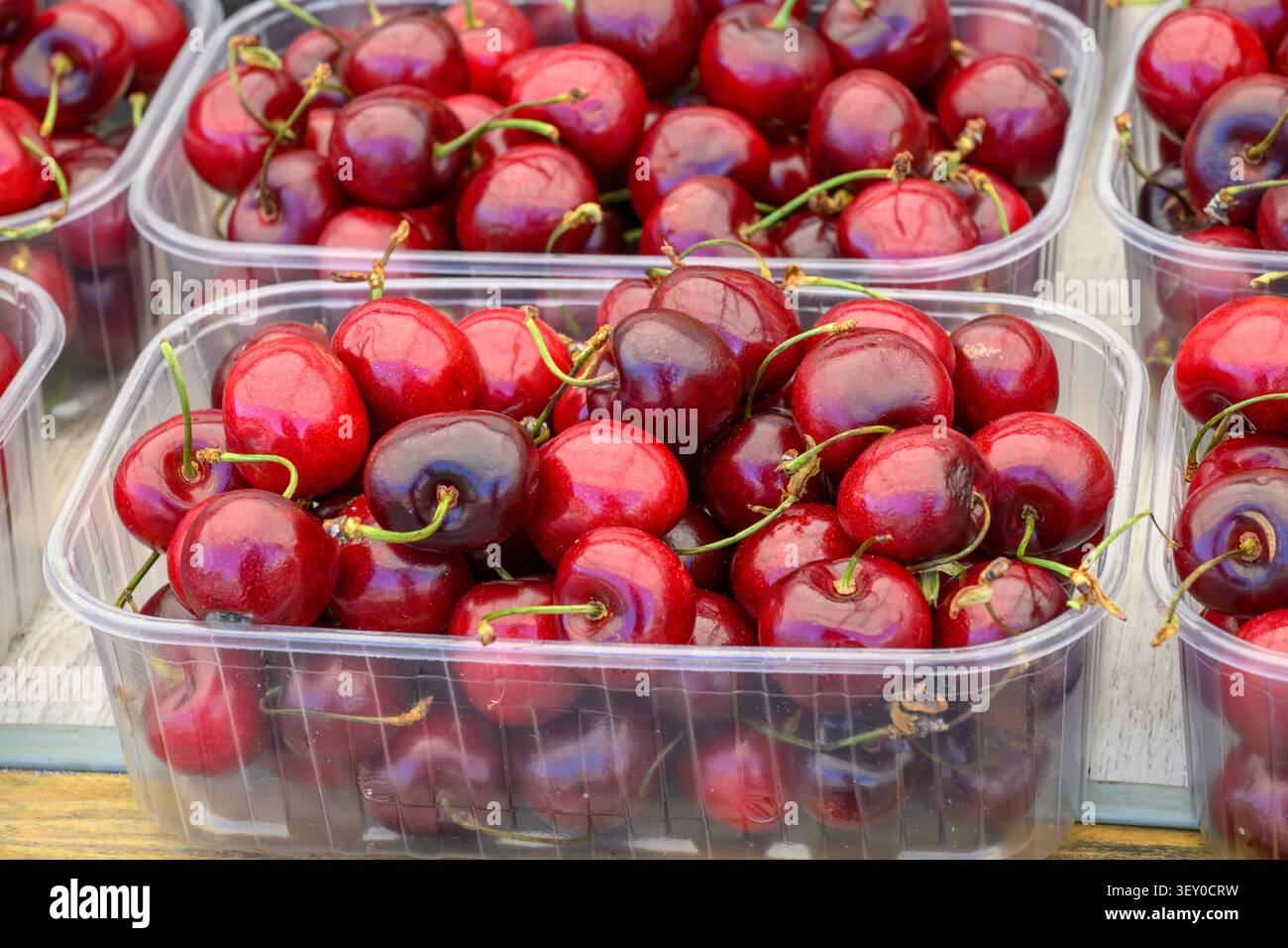Cerises noires, en vente au marché vert de Rovinj, Istrie, Croatie Banque D'Images