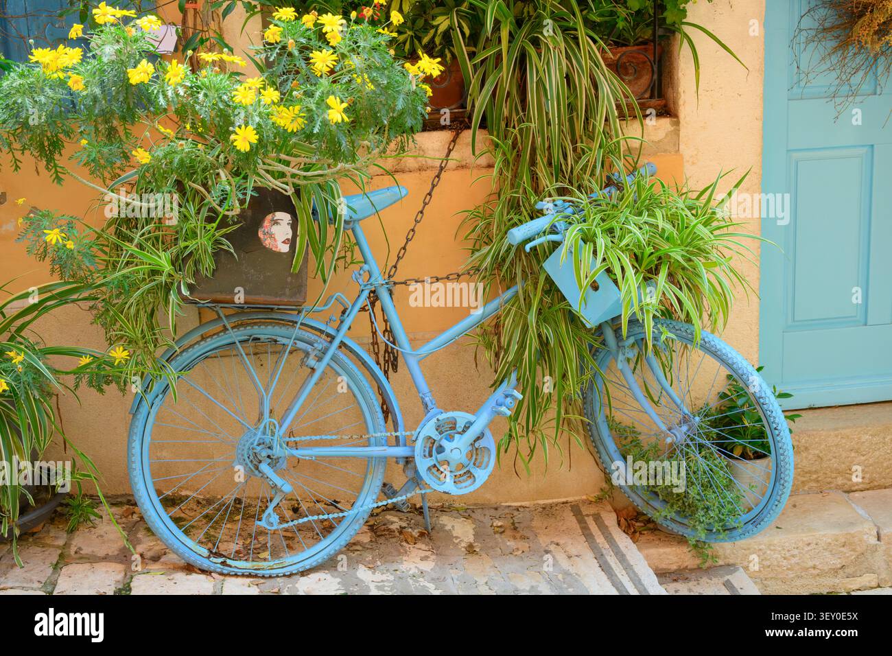 Une vieille bicyclette sert de décoration et une jardinière pour les araignées à l'extérieur d'un magasin à Rovinj, Istrie, Croatie Banque D'Images