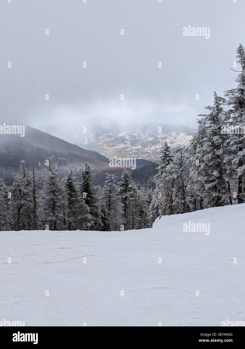 Les pentes montagneuses sont couvertes de neige – une route blanche, des sapins chargés de neige ; un bel hiver dans les montagnes. Canada, Ontario. - Image de stock capturée avec un smartphone