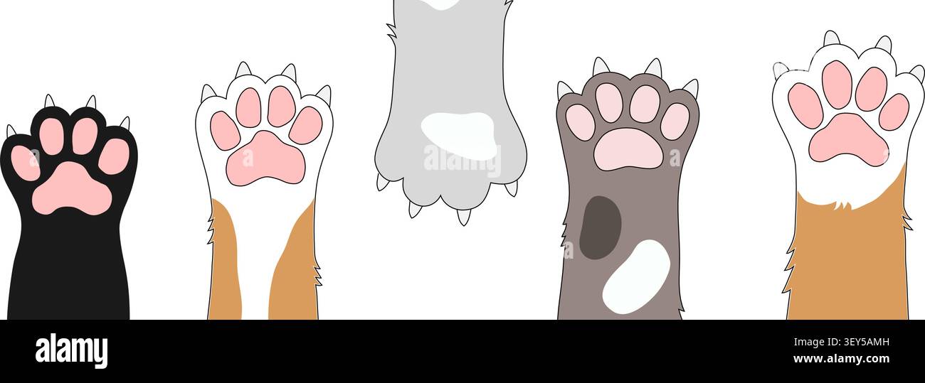 Bordure colorée de patte de chat avec jambes moelleuses et coussinets roses doux sur un fond propre. Charmante illustration pour animaux de compagnie pour les autocollants de cartes de voeux et ludique Illustration de Vecteur
