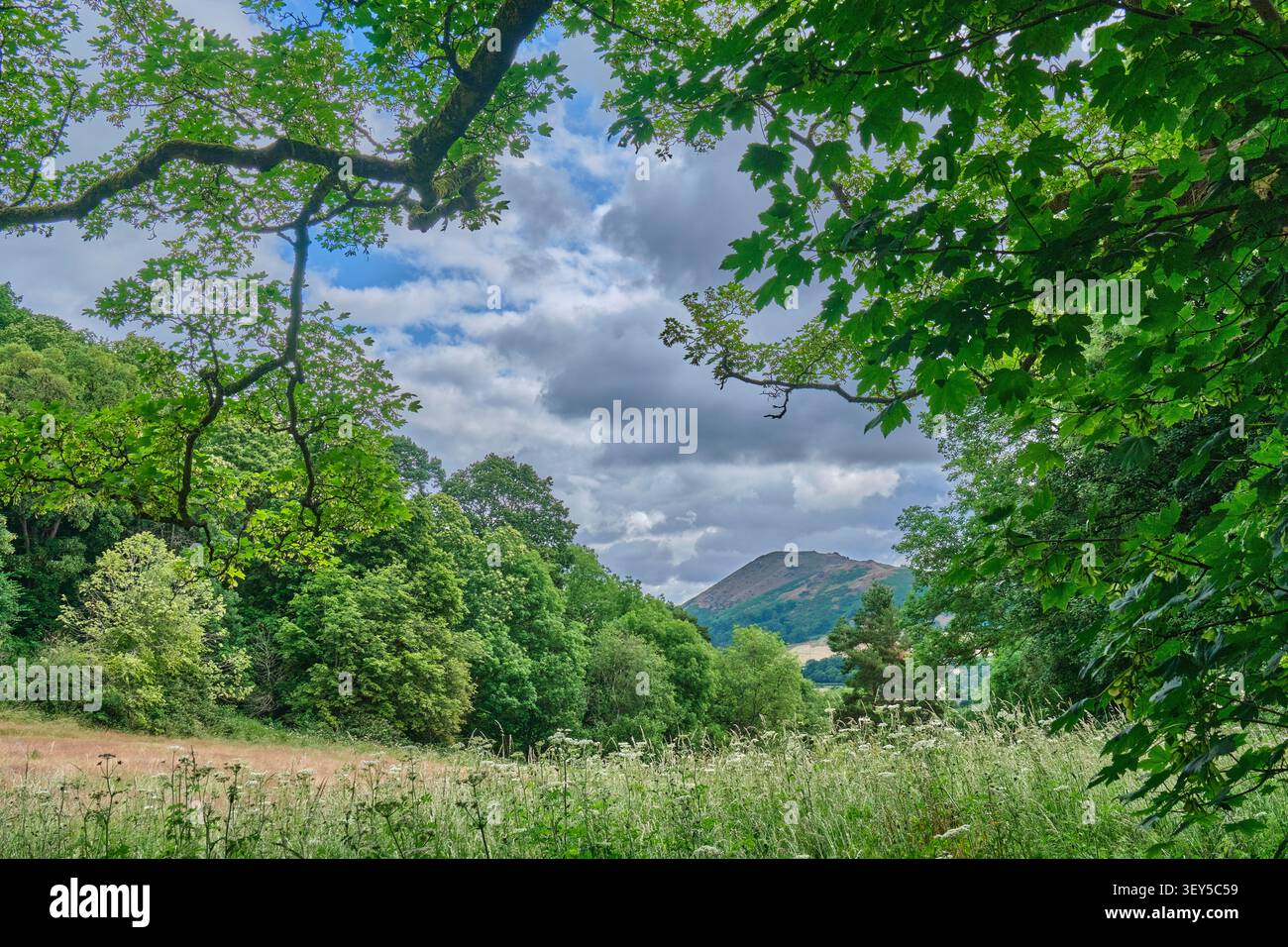 Caer Caradoc vu du haut de Rectory Field, Church Stretton, Shropshire Banque D'Images