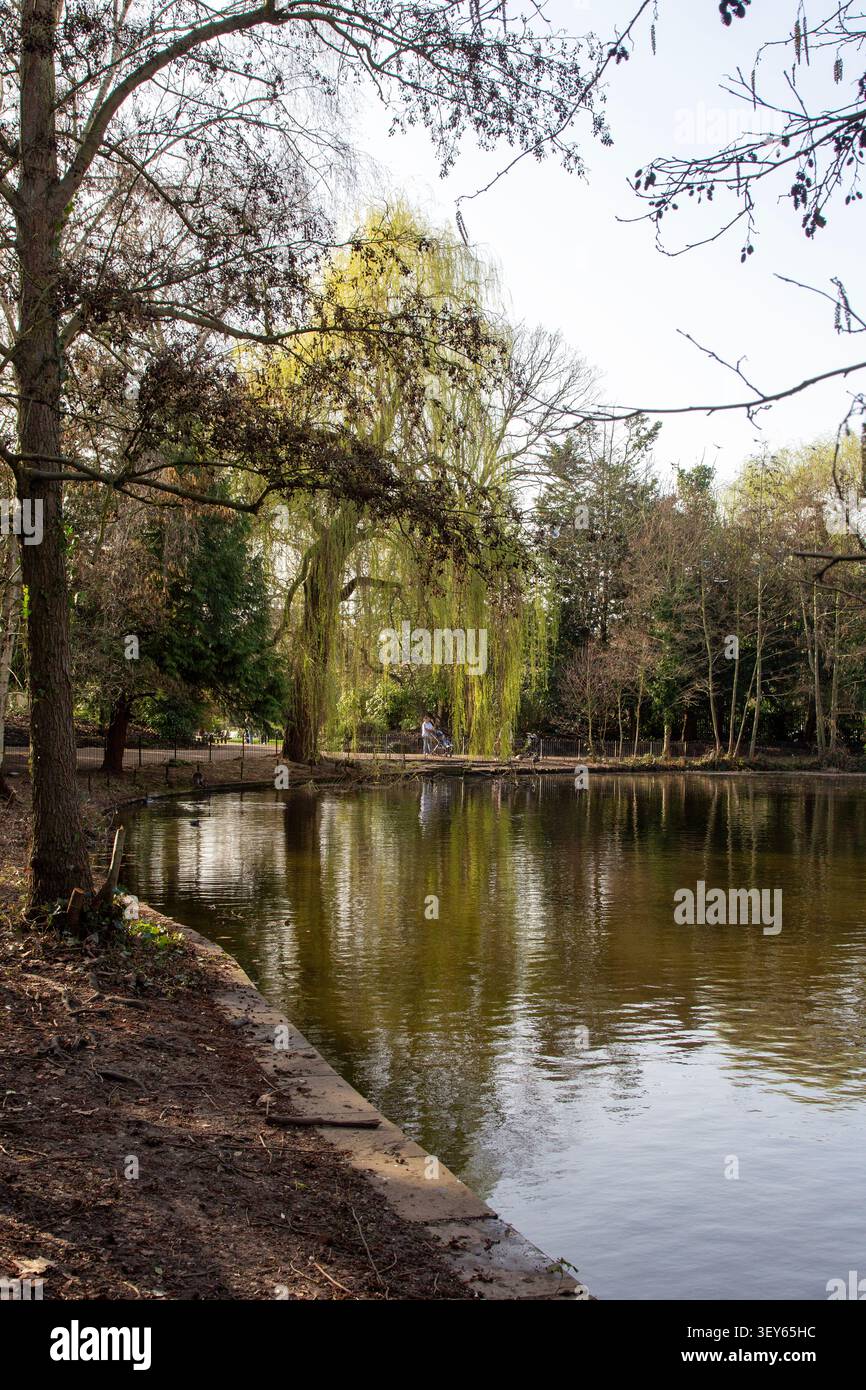 Le lac, Peckham Rye Park, Londres SE15, Royaume-Uni Banque D'Images