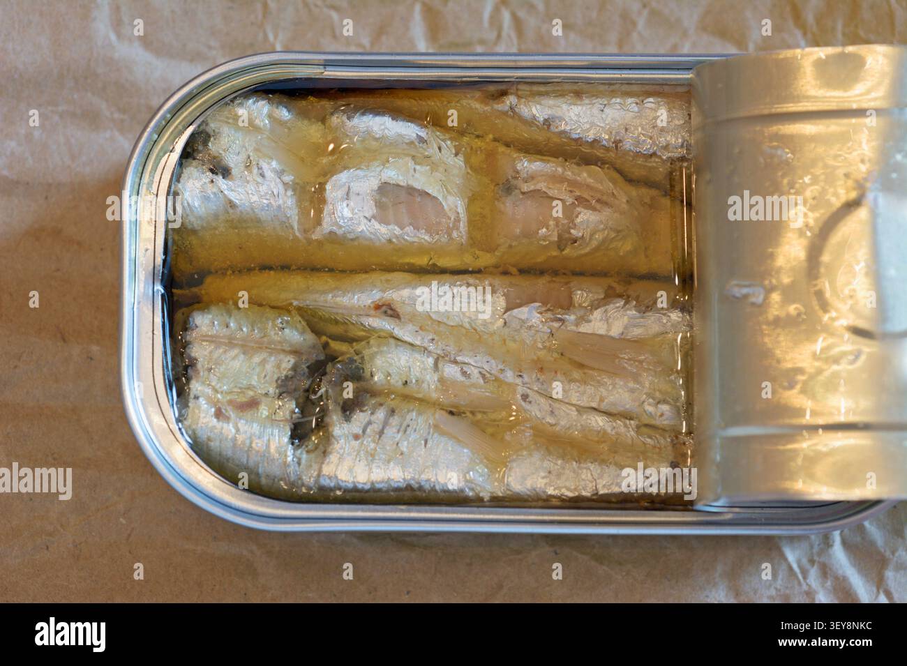 boîte ouverte de sardines en conserve dans l'huile d'olive Banque D'Images