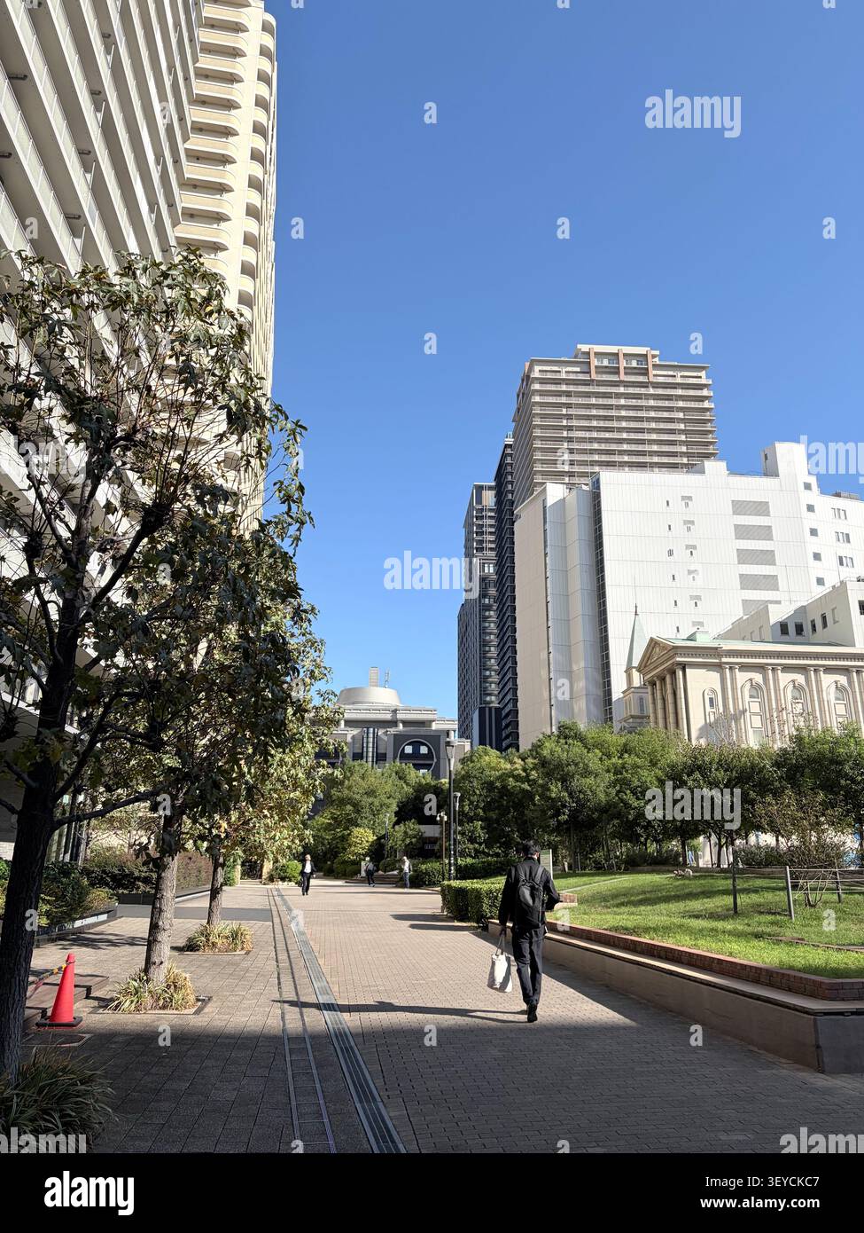 Scène urbaine montrant un contraste saisissant entre la tour de verre moderne et le bâtiment du patrimoine classique, encadré par des arbres sous un ciel bleu clair. Probablement austral - Image de stock capturée avec un smartphone