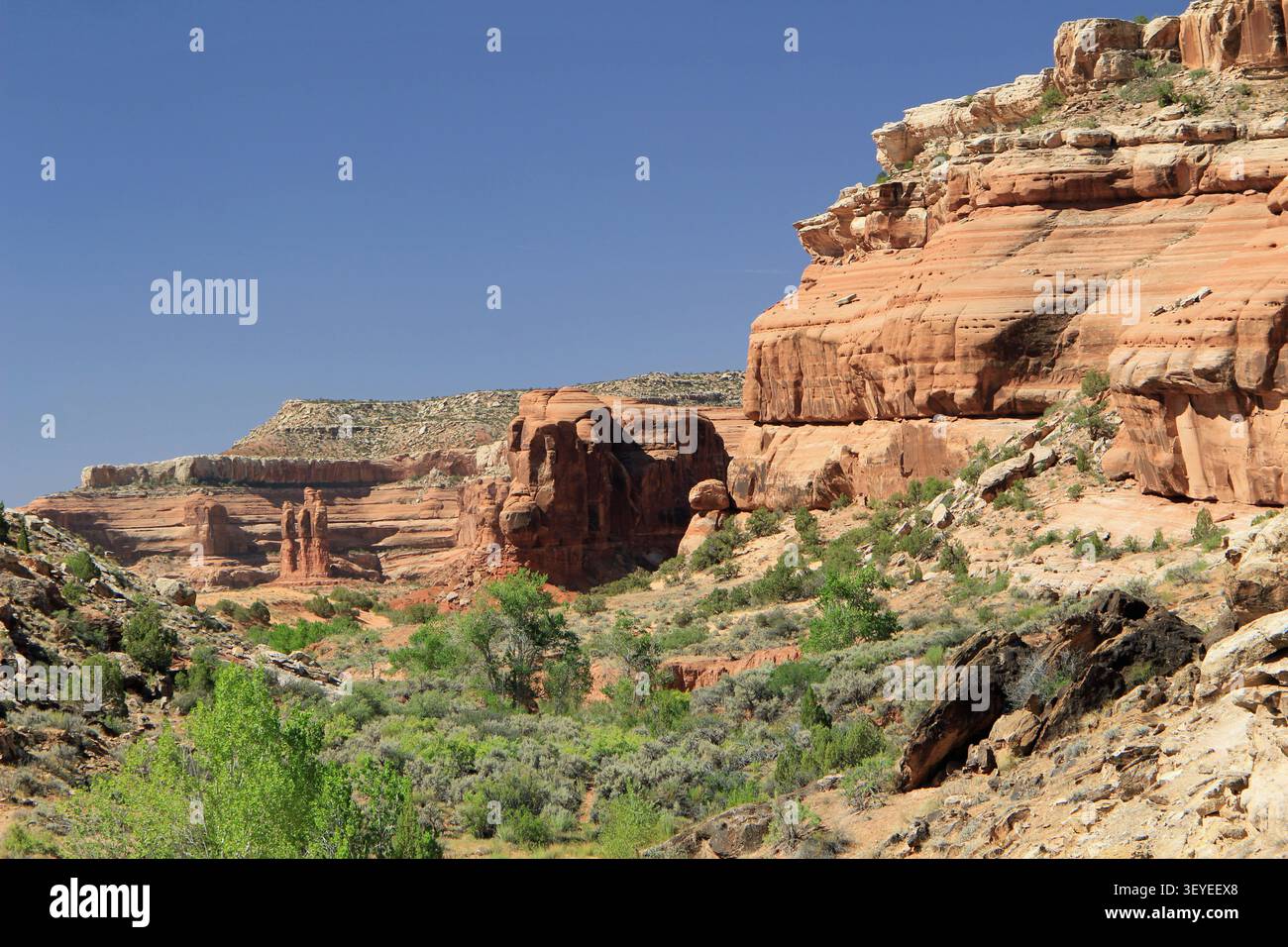Mill Canyon Dinosaur Trail randonnée Moab Utah Banque D'Images