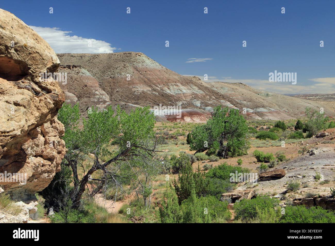 Mill Canyon Dinosaur Trail randonnée Moab Utah Banque D'Images