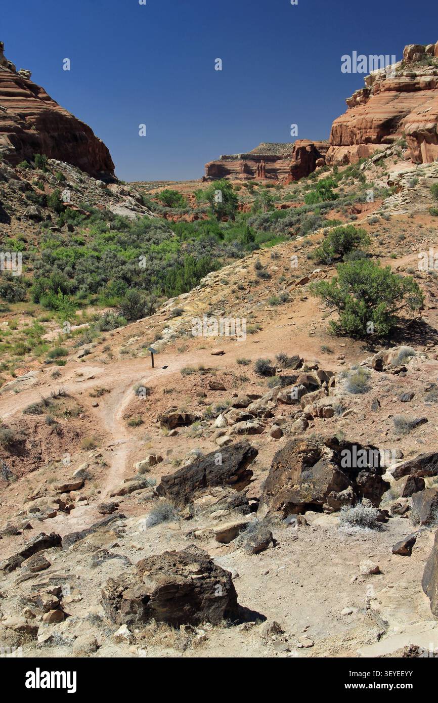 Mill Canyon Dinosaur Trail randonnée Moab Utah Banque D'Images