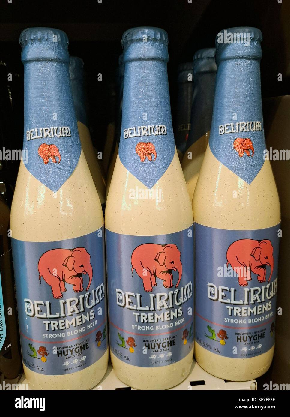 DENIA, ESPAGNE - 15 novembre 2025.des rangées de bouteilles remplies de bière blonde forte sont exposées sur les étagères des supermarchés en Espagne, invitant les acheteurs à cho Banque D'Images