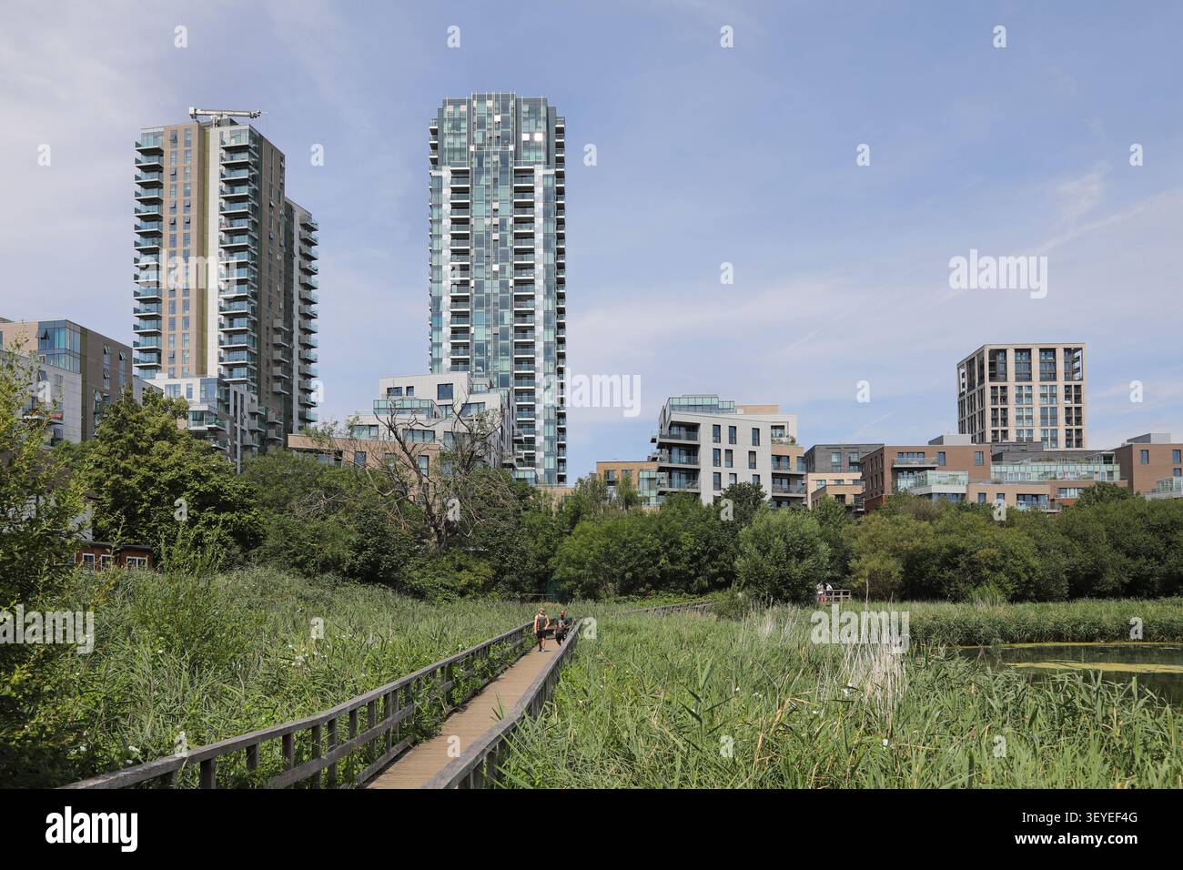 Développement de logements Woodberry Down, vu à travers la réserve naturelle Woodberry Wetlands, Hackney, Londres. Skyline Tower (centre), Residence Tower (gauche) Banque D'Images