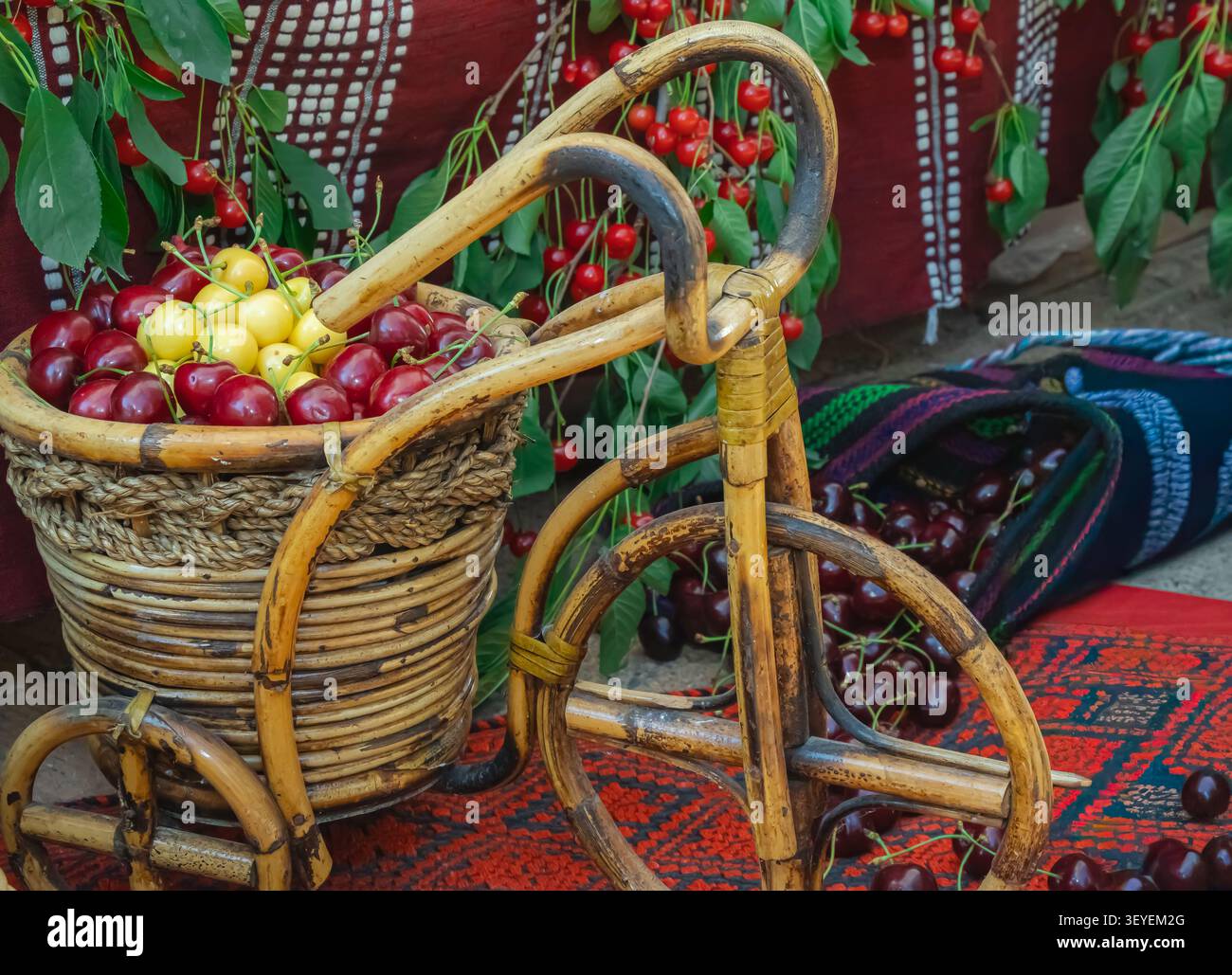 Vélo décoratif en osier tenant un panier de cerises douces mûres avec des textiles traditionnels et des branches de cerises suspendues, célébrant la récolte d'été, l Banque D'Images