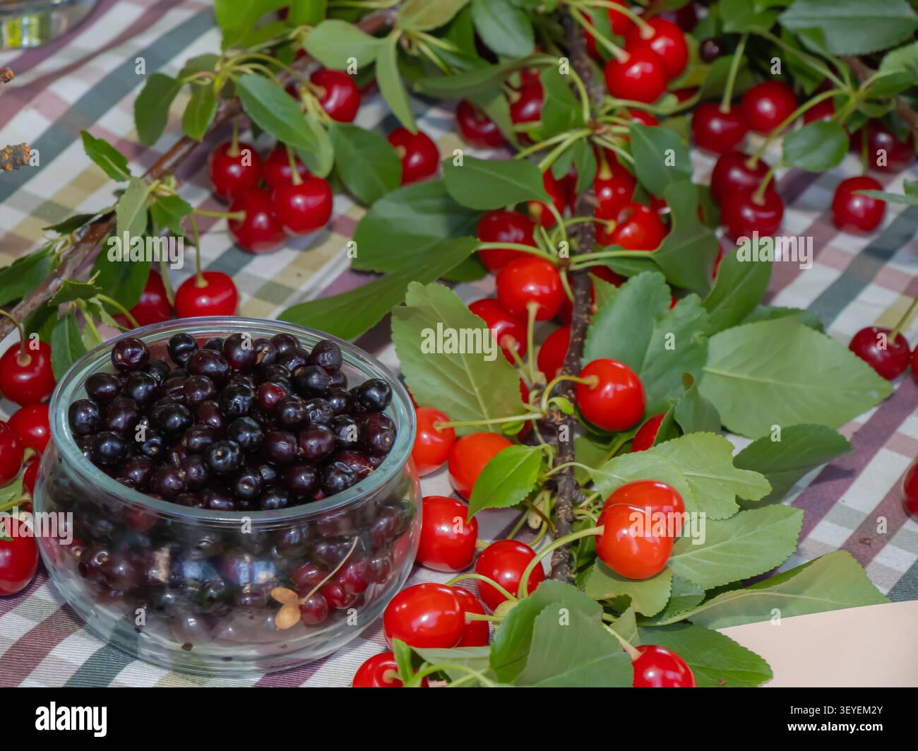 Cerises douces fraîches avec des feuilles vertes entourant un bol en verre de baies noires sauvages, capturant la récolte d'été, fruits frais de saison, nourriture saine et Banque D'Images