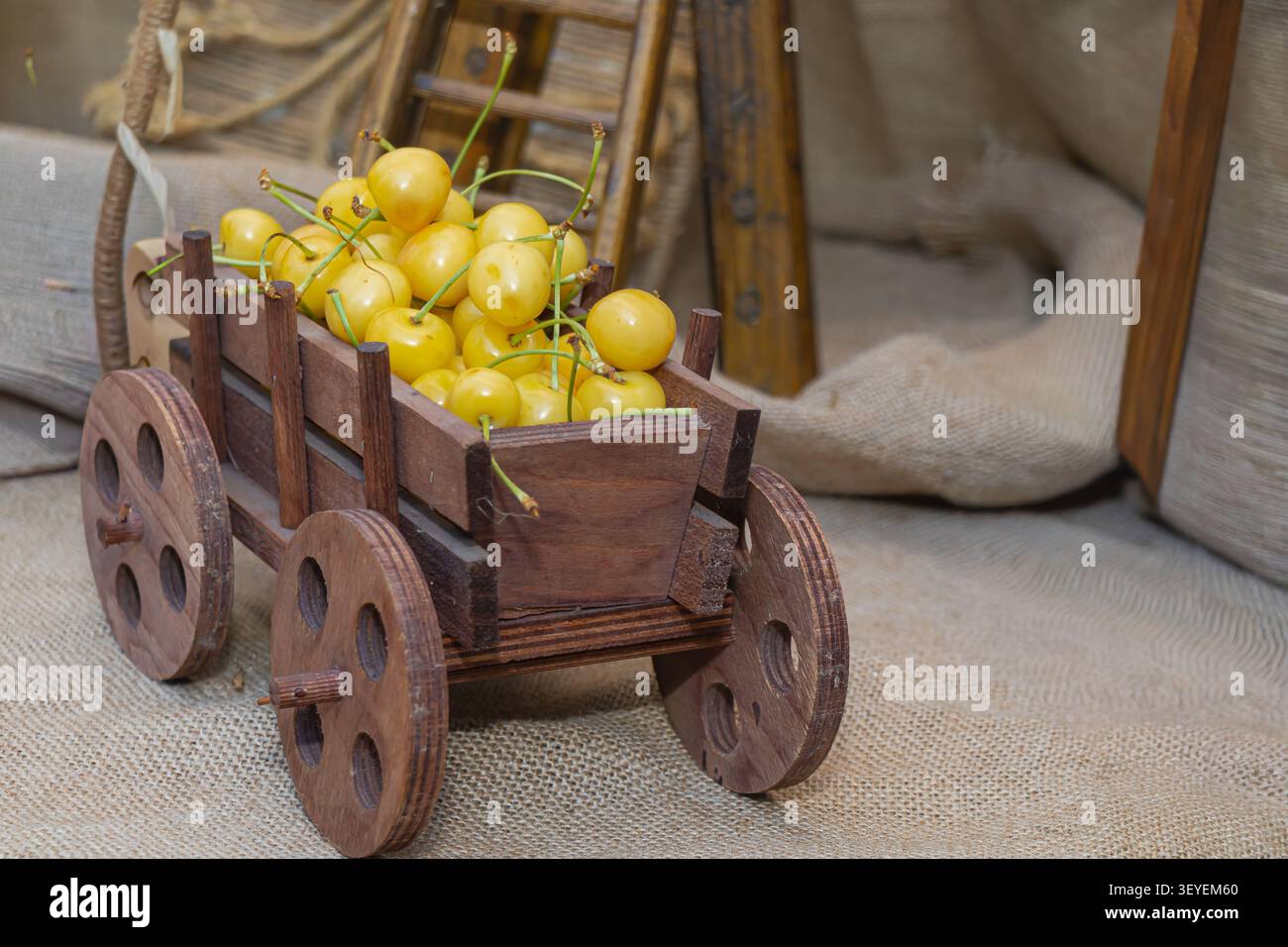 Cerises douces jaunes fraîches exposées dans un wagon en bois miniature sur un tissu rustique en toile de jute, créant une charmante composition de ferme vintage idéale pour le summ Banque D'Images
