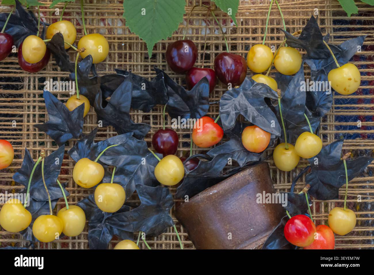 Composition estivale créative mettant en vedette des cerises douces jaunes et rouges fraîches avec des feuilles noires décoratives et de la poterie rustique dans un stil artistique saisonnier Banque D'Images