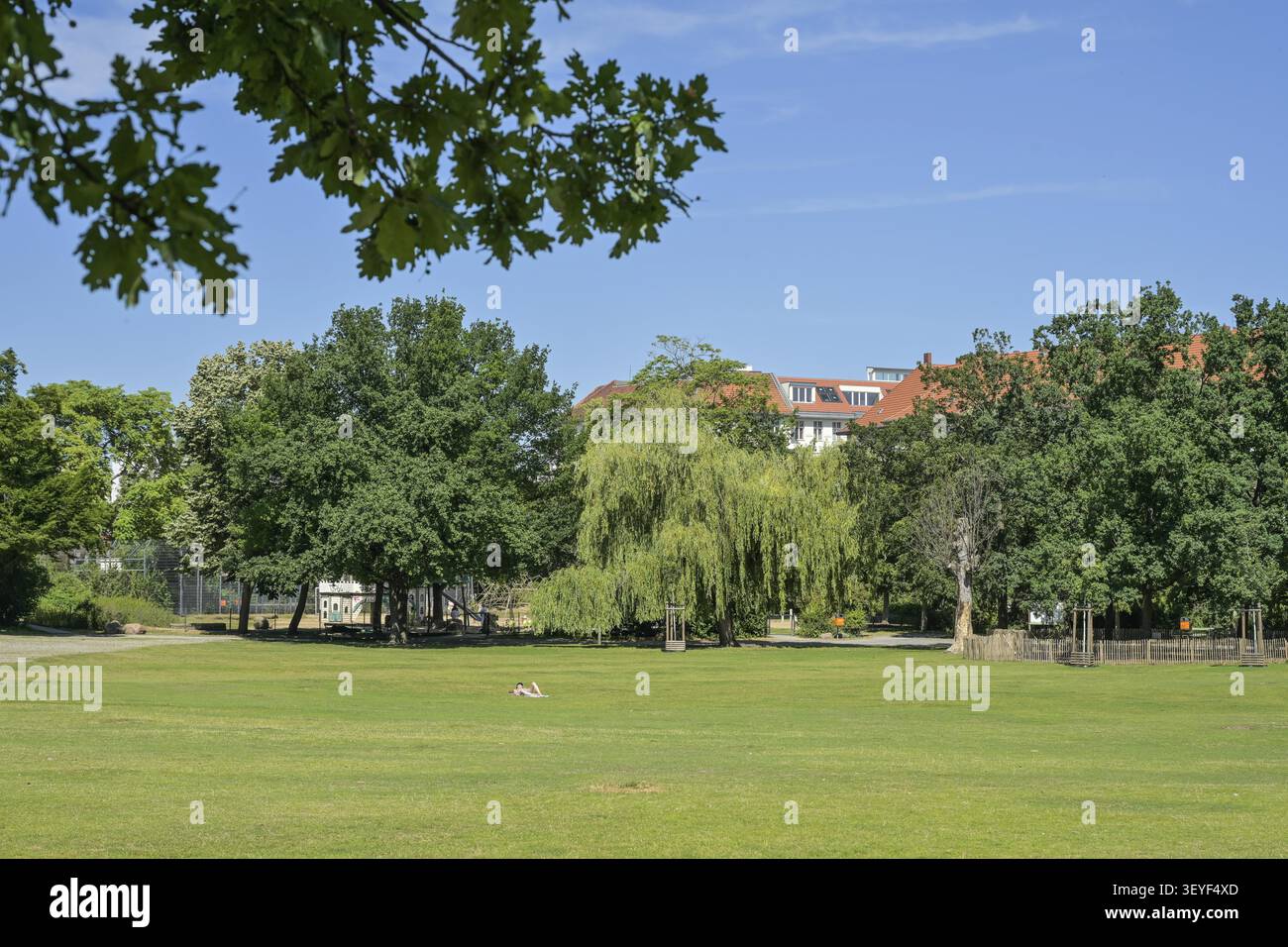 Preussenpark, Wilmersdorf, Berlin, Allemagne Banque D'Images