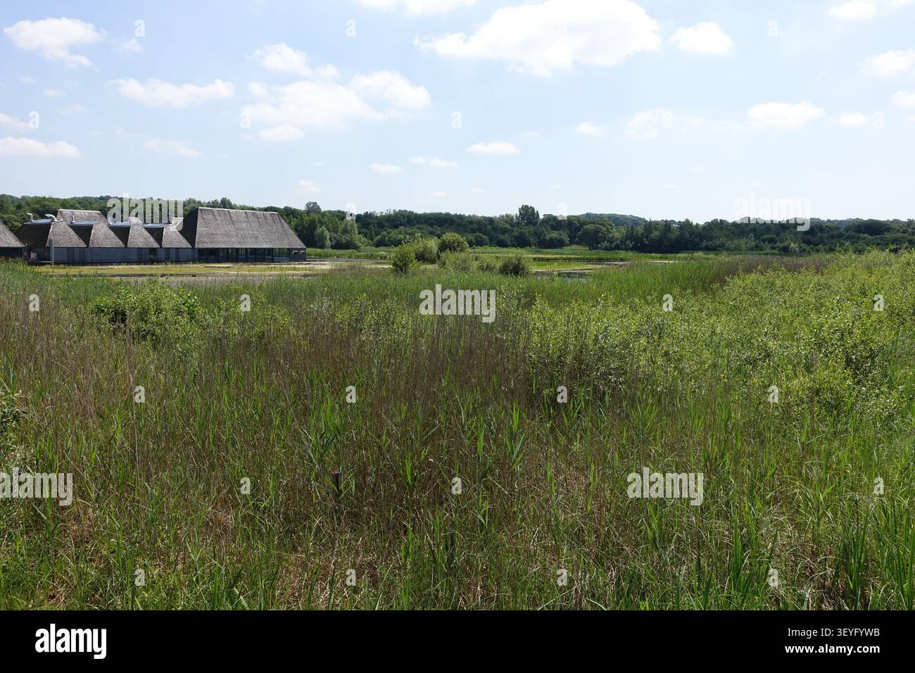 Bâtiments du centre d'accueil surplombant les zones humides de la réserve naturelle de Brockholes près de Preston, Lancashire, Angleterre, Royaume-Uni, par une journée d'été ensoleillée. Banque D'Images