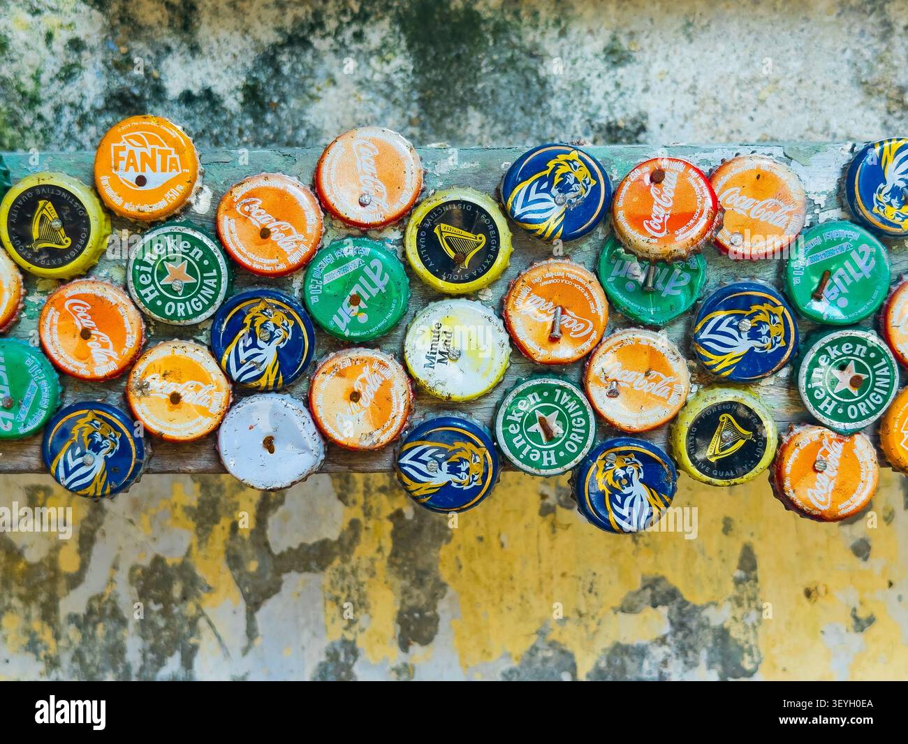 Collection de bouchons de bouteilles en métal de marque, y compris Coca-Cola, Heineken & Tiger cloués sur une planche de bois Banque D'Images