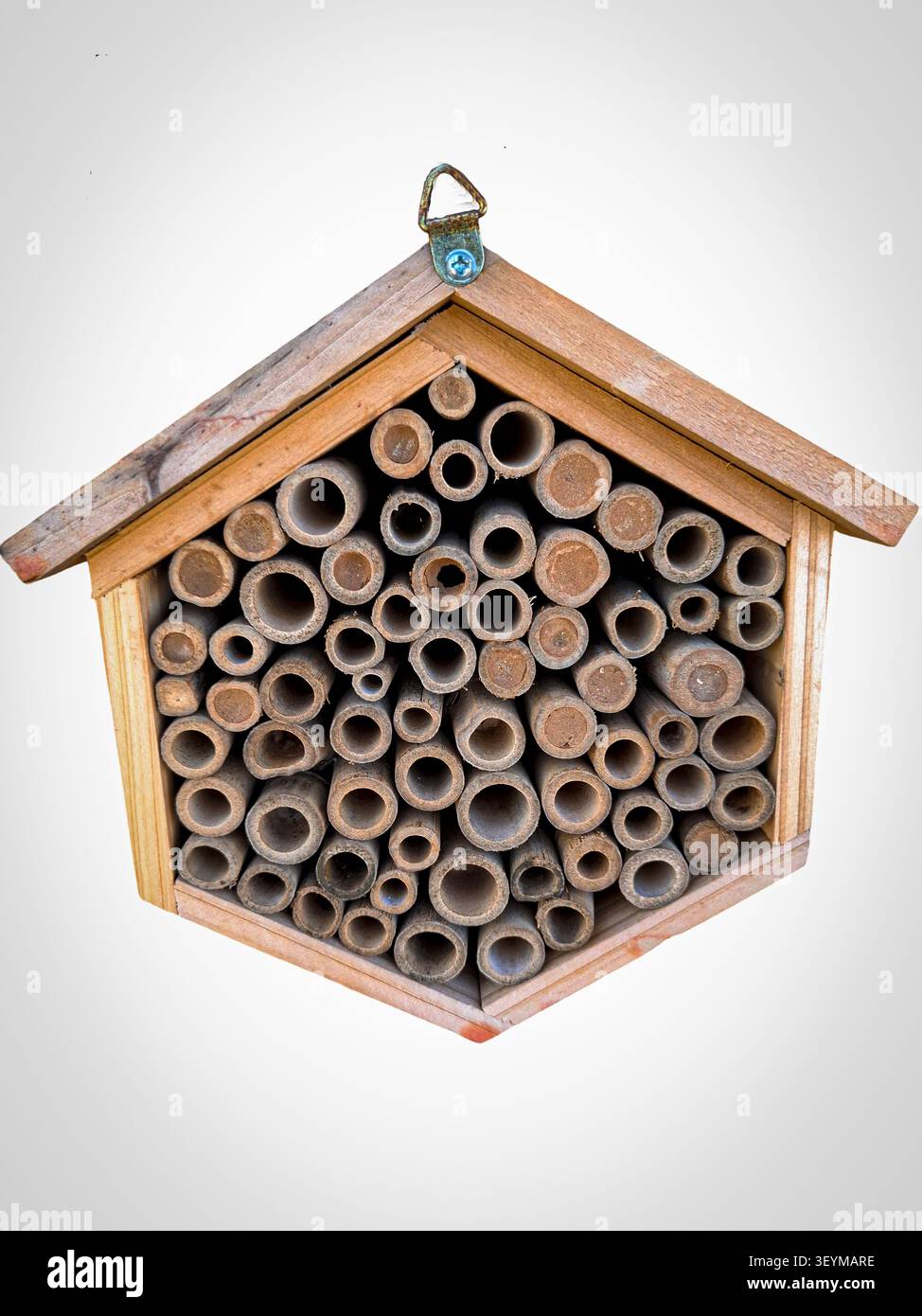 Une maison de bourdons unique avec des tubes creux est isolée dans un jardin, fournissant un abri sûr pour les abeilles solitaires. Parfait pour promouvoir la pollinisation et Banque D'Images