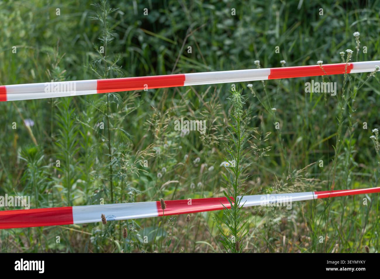 Le ruban d'avertissement rouge et blanc s'étend sur les hautes herbes pour marquer une zone extérieure restreinte. La vue rapprochée met l'accent sur la sécurité et l'accès temporaire contro Banque D'Images