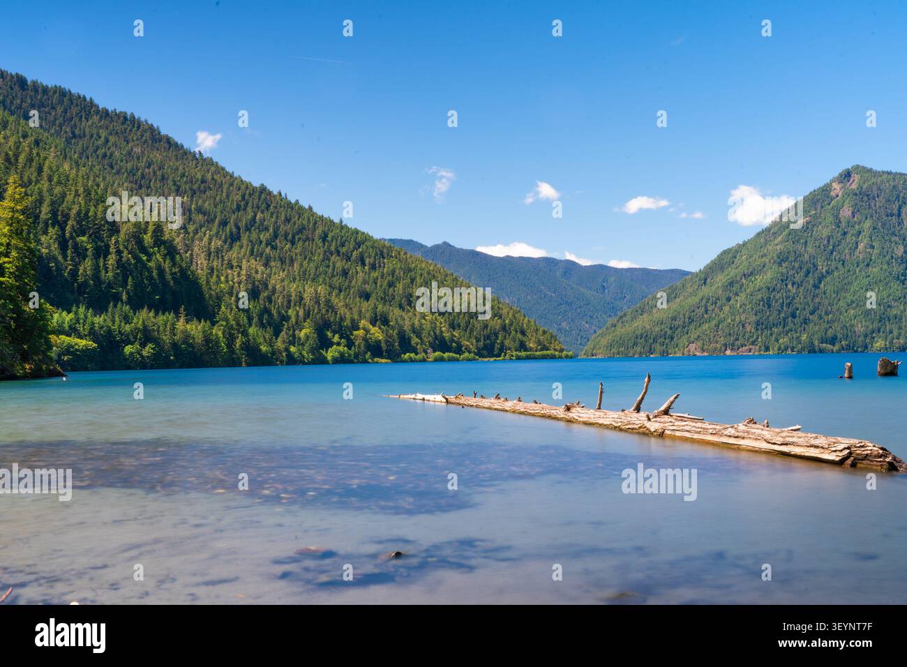 lac crescent, parc national olympique, lac, état de washington, port angeles, beau, bleu, canotage, jour, kayak, point de repère, loisirs, montagnes, nat Banque D'Images