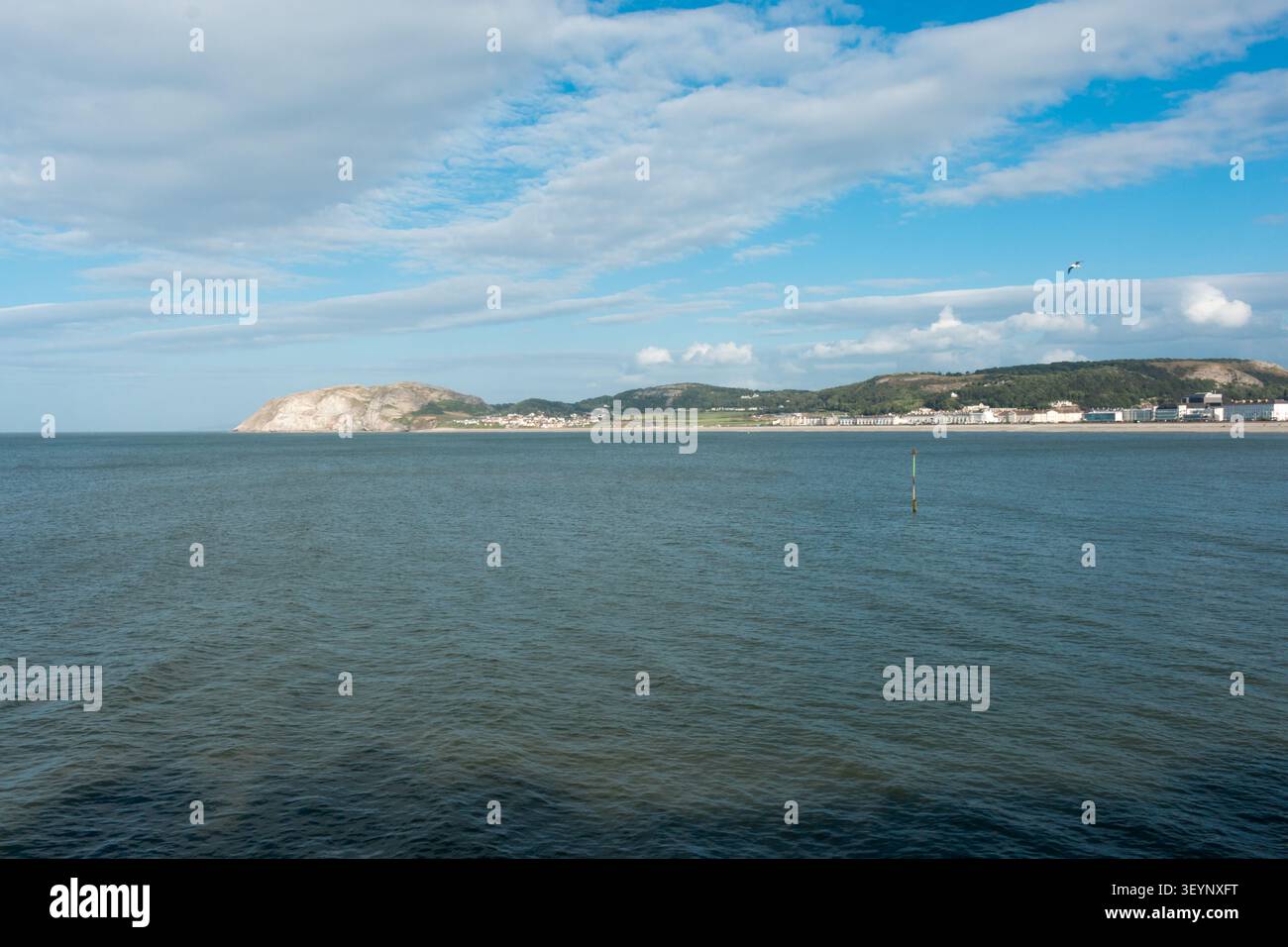 Little Orme, l'un des deux promontoires situés à chaque extrémité de la baie de Llandudno. Banque D'Images
