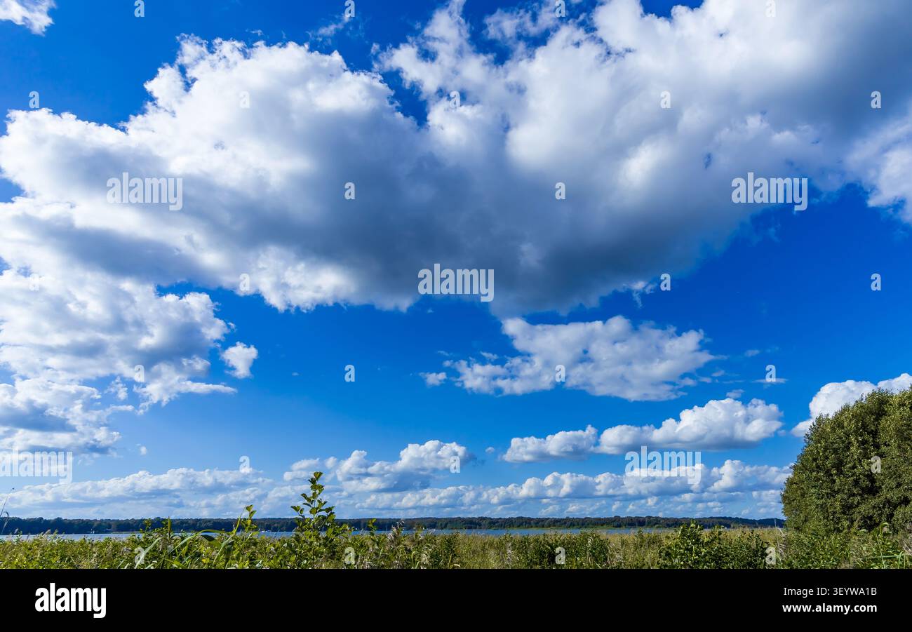 Paysage nuageux d'été avec des nuages cumulus au-dessus de terres agricoles ouvertes près du village historique d'artistes de Ferch au lac Schwielowsee, Brandebourg, Allemagne. Banque D'Images
