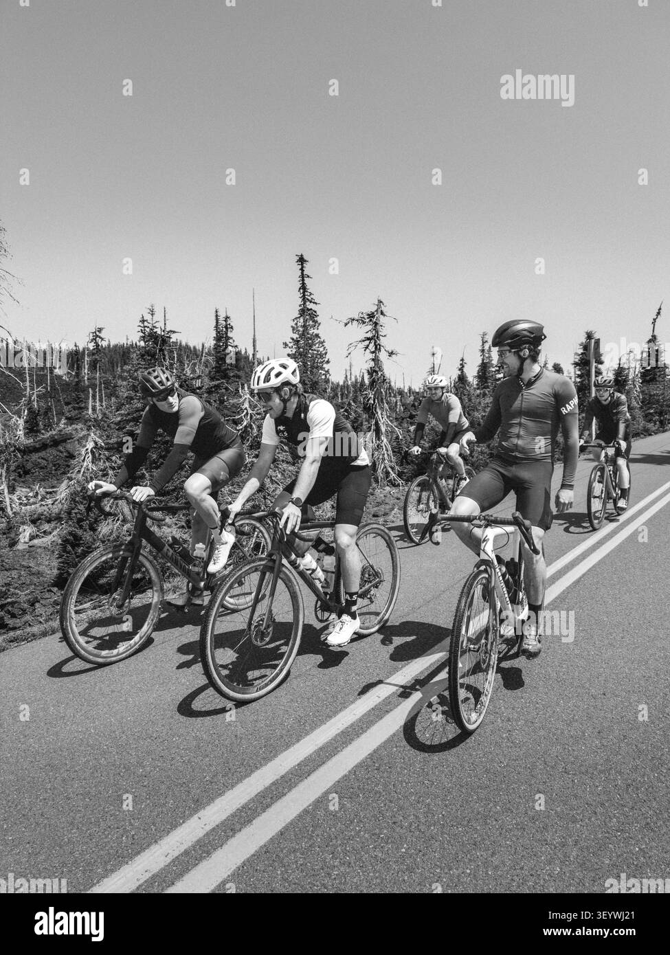 Un groupe de cyclistes masculins roulent et discutent ensemble sur une route volcanique de haute altitude à travers un paysage subalpin clairsemé de l'Oregon. Banque D'Images