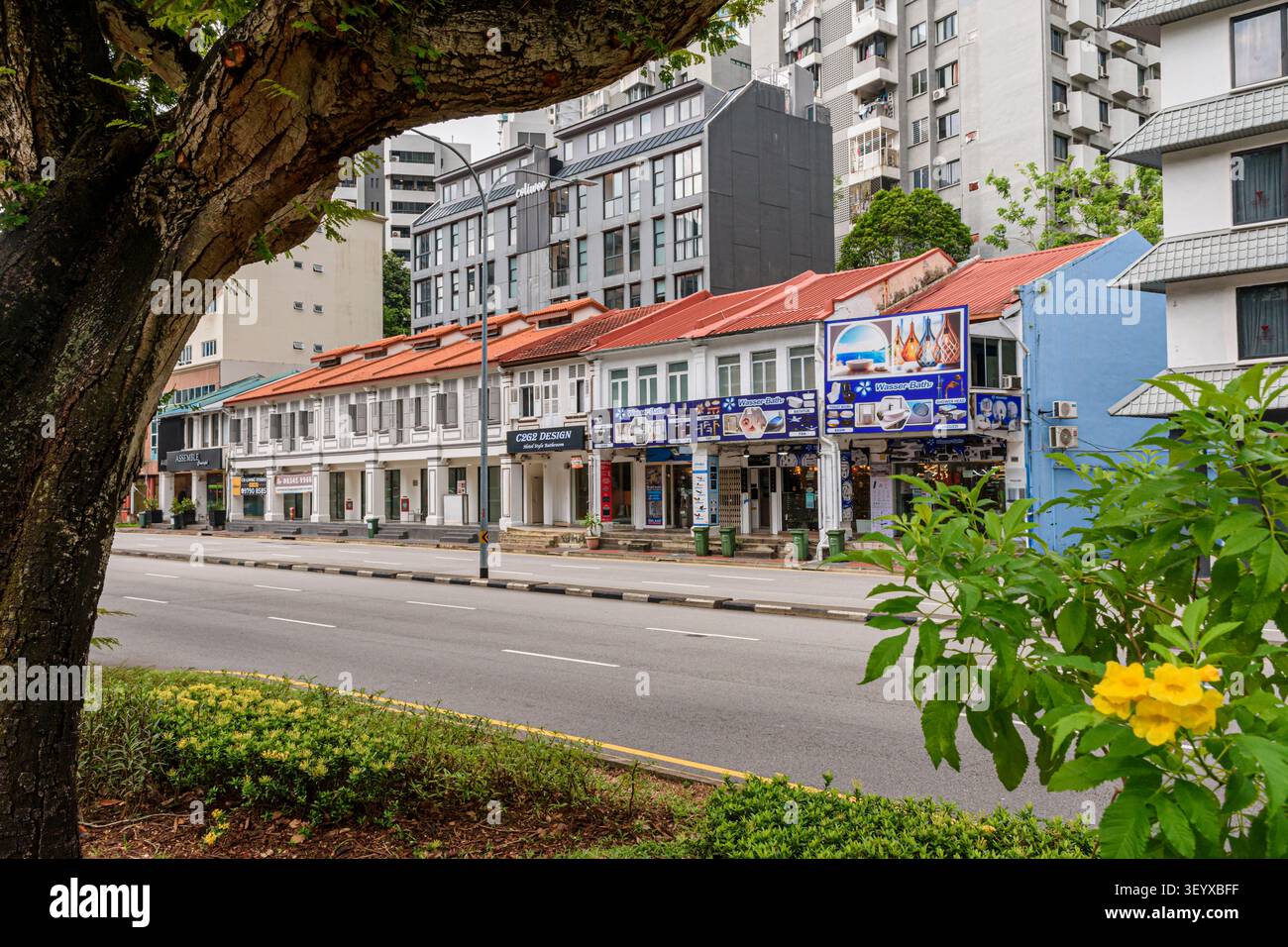 Maisons de magasins mitoyennes de 2 étages le long de l'enceinte patrimoniale de Balestier Rd, Singapour Banque D'Images