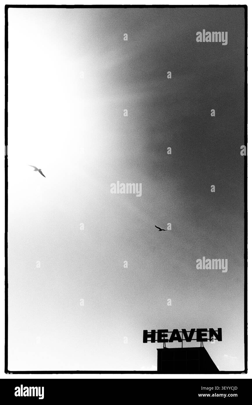 Deux oiseaux volent à travers un ciel noir et blanc avec des rayons de soleil au-dessus d'un signe de ciel, créant un concept spirituel chrétien avec espace de copie. Banque D'Images