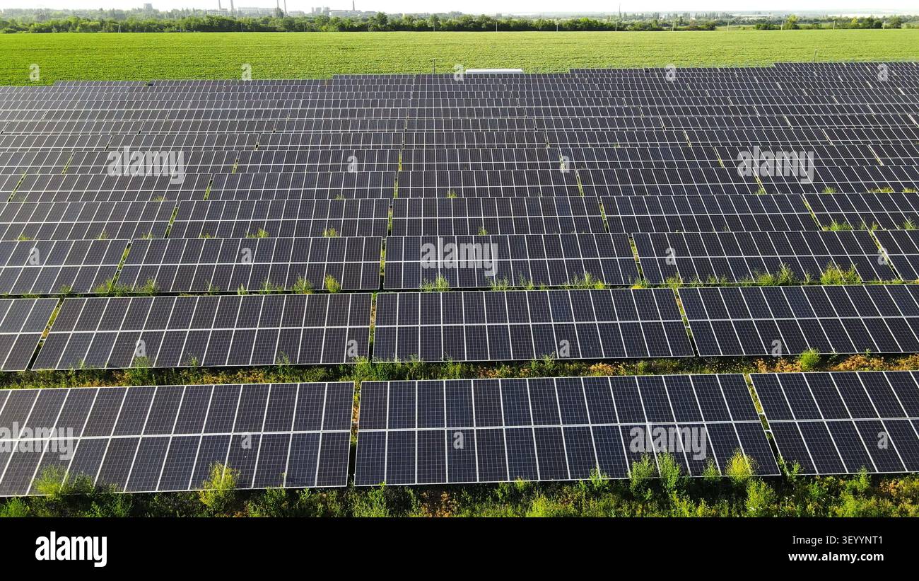 Ferme solaire avec des rangées de panneaux photovoltaïques générant de l'énergie propre, illustrant la production d'énergie durable sur un champ vert Banque D'Images