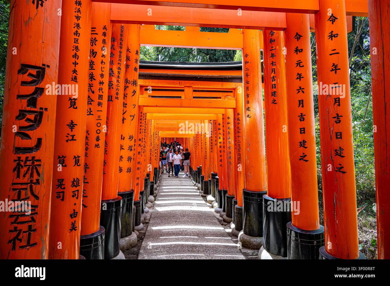 Le chemin sous les mille portes Torii menant au mont Inari à Fushimi Inari Taisha, Kyoto Banque D'Images