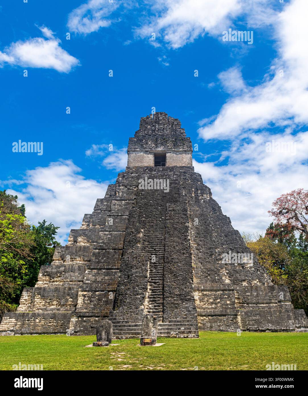 Pyramide du temple Grand Jaguar, parc national de Tikal, Guatemala. Banque D'Images