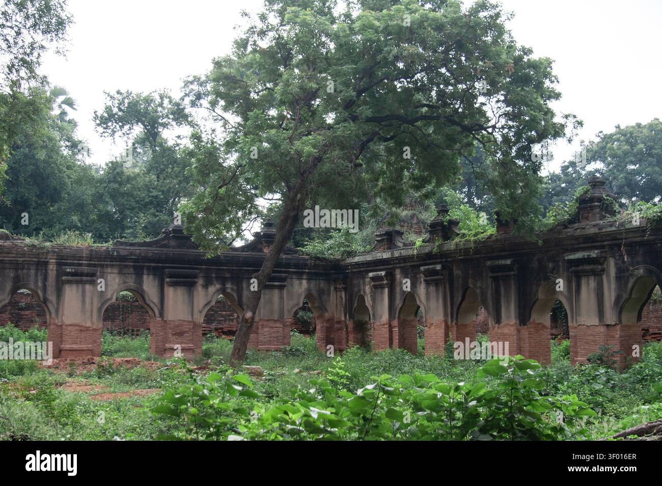 La cour envahie d'un ancien monastère bouddhiste en ruine au Myanmar, en Asie, avec des briques altérées et des arches en stuc, des murs en ruine et un trône luxuriant Banque D'Images
