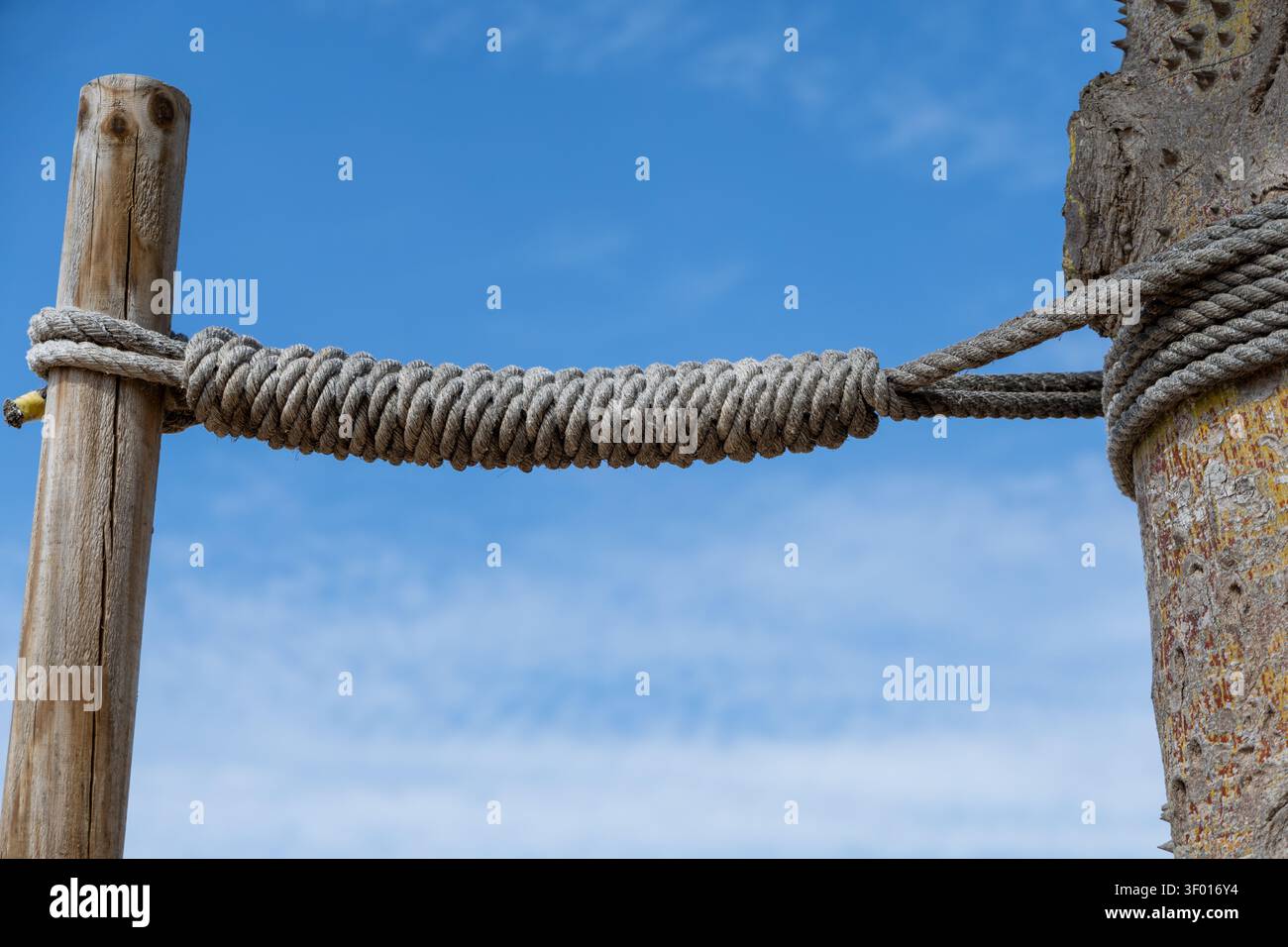 Une corde robuste et épaisse est habilement nouée autour de deux poteaux en bois rustiques, créant une limite ou une balustrade contre un ciel clair avec des nuages tordus Banque D'Images