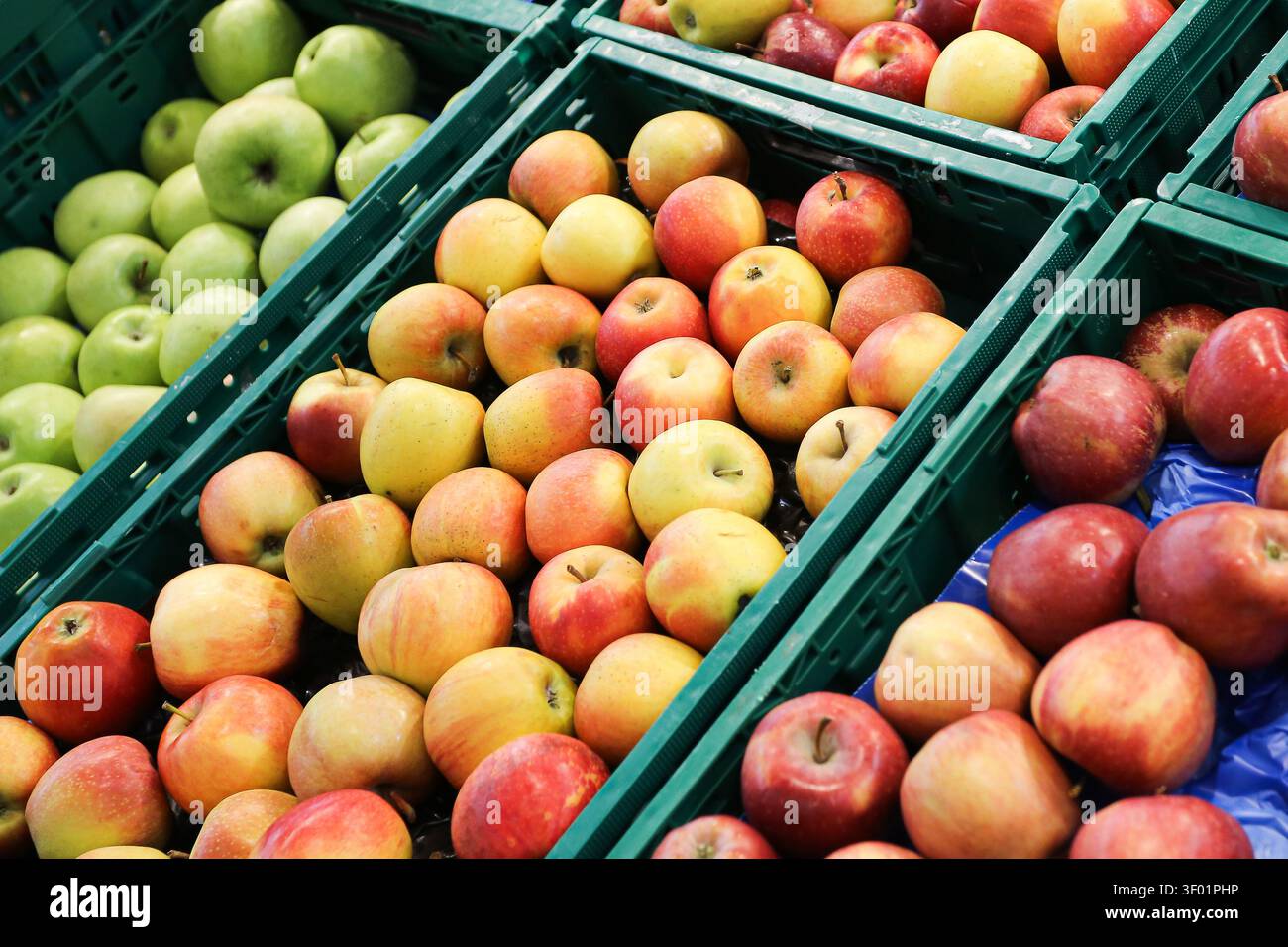 Pommes rouges, vertes et jaunes mélangées dans des caisses en plastique. Fond de fruits frais pour une alimentation saine, nutrition, récolte, agriculture et produits saisonniers. Banque D'Images